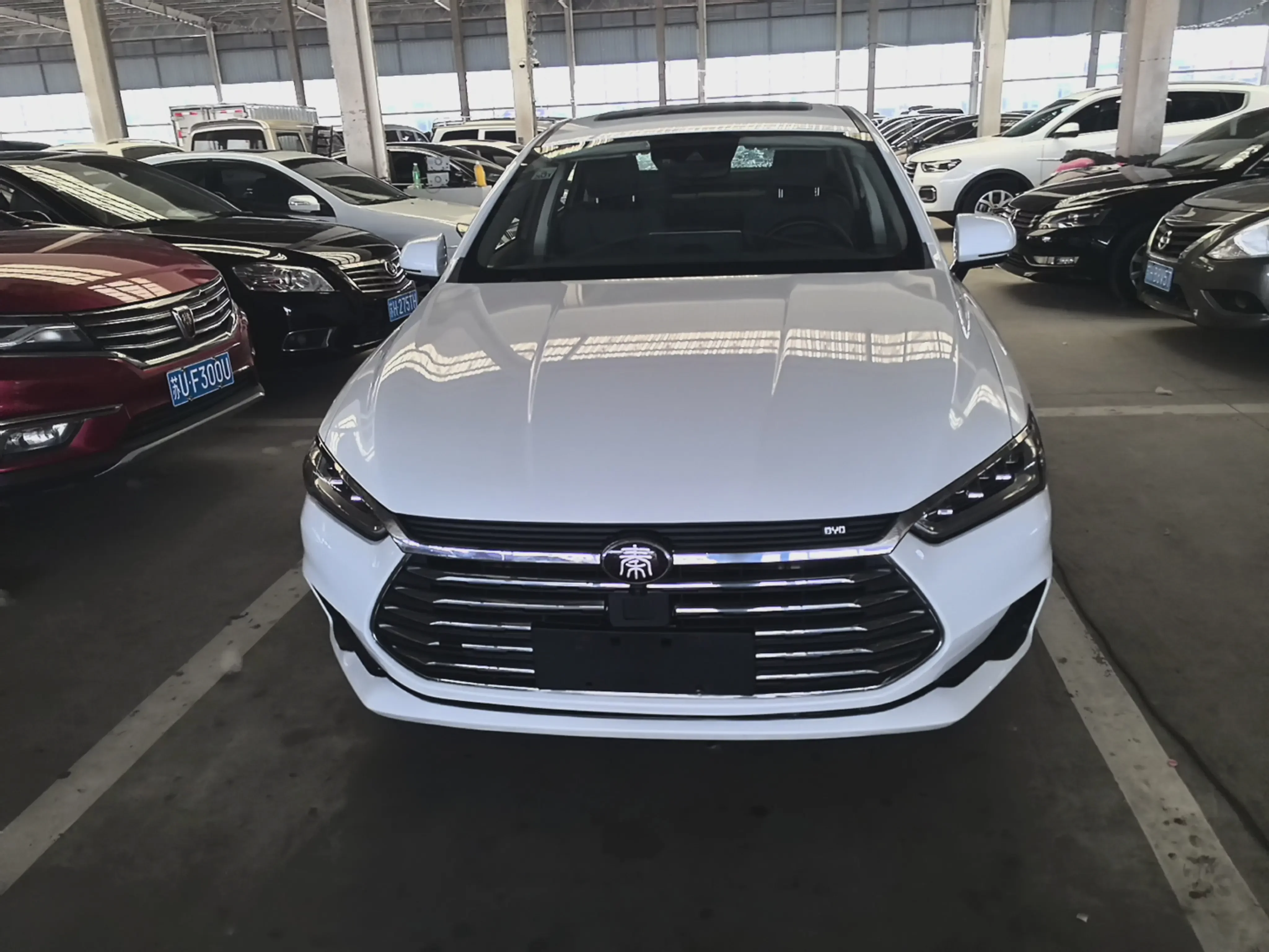 BYD Qin Pro