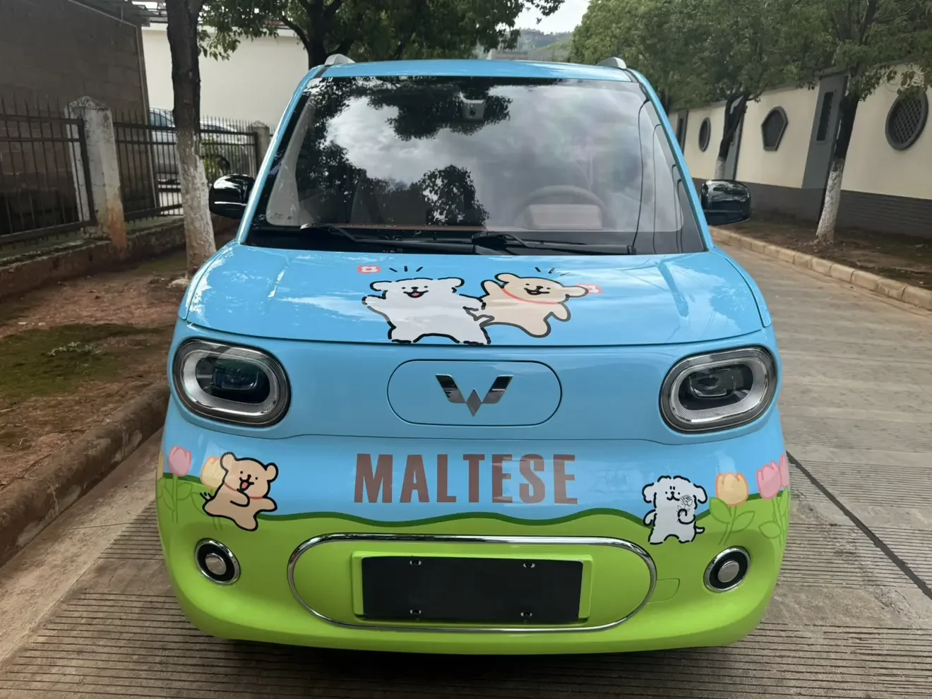 Wuling Hongguang MINIEV