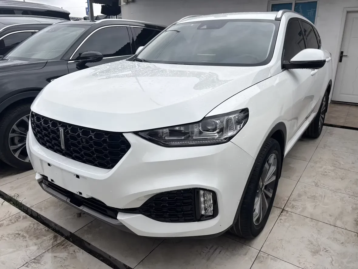 Wey Wei brand VV6