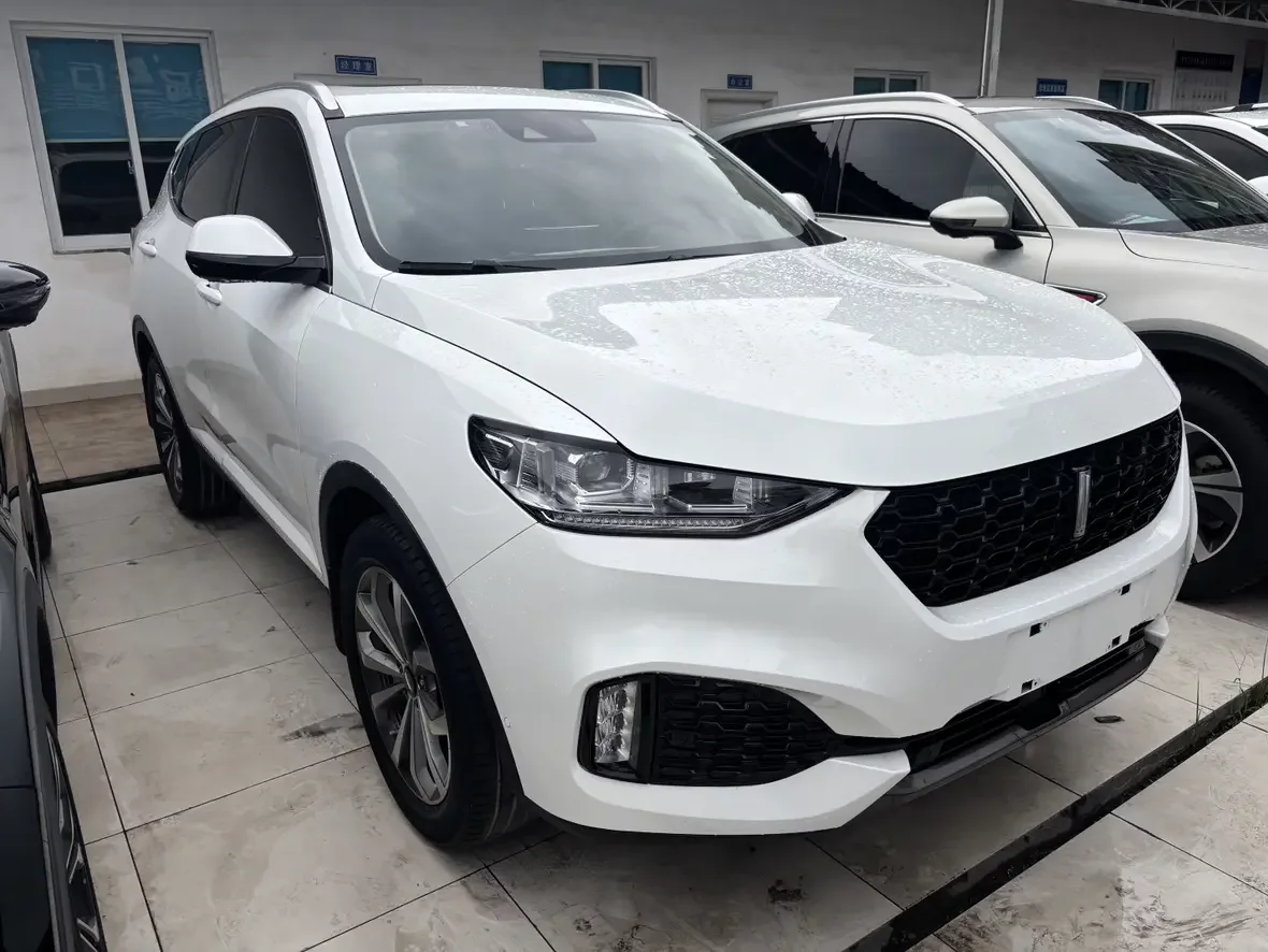 Wey Wei brand VV6