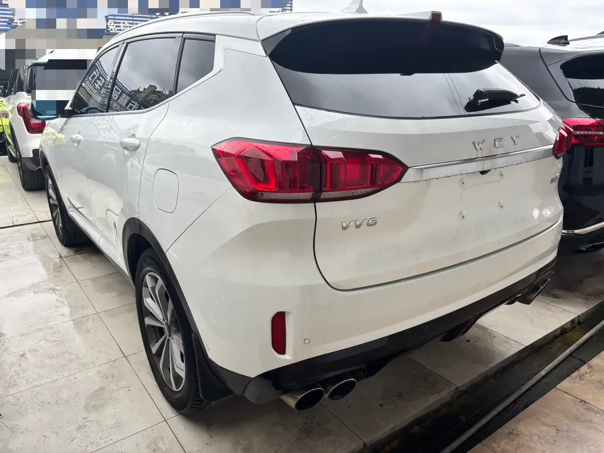 Wey Wei brand VV6