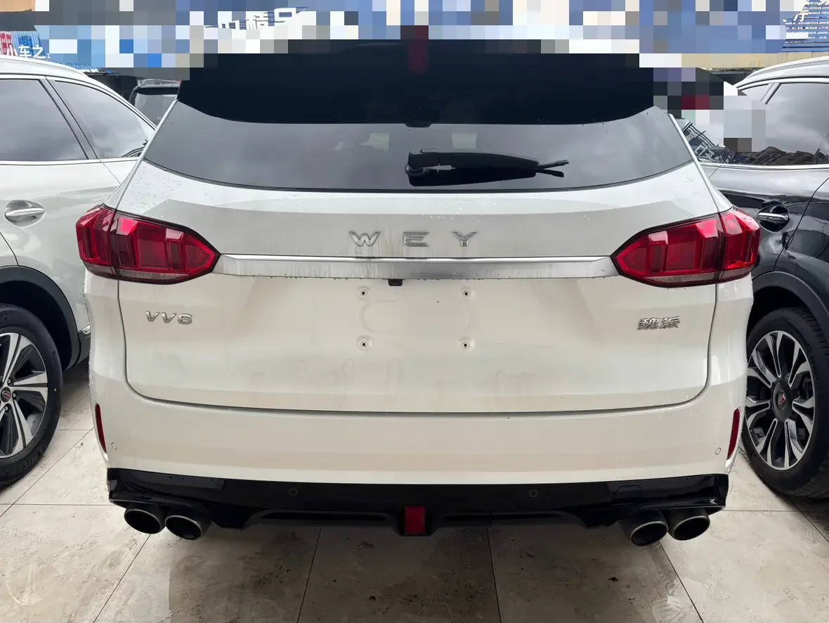 Wey Wei brand VV6