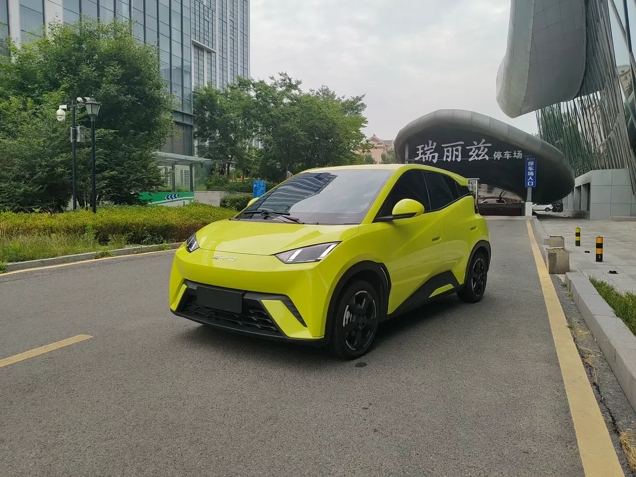 BYD seagull