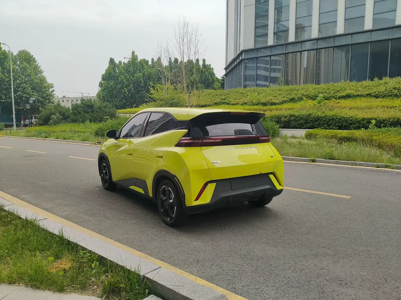 BYD seagull