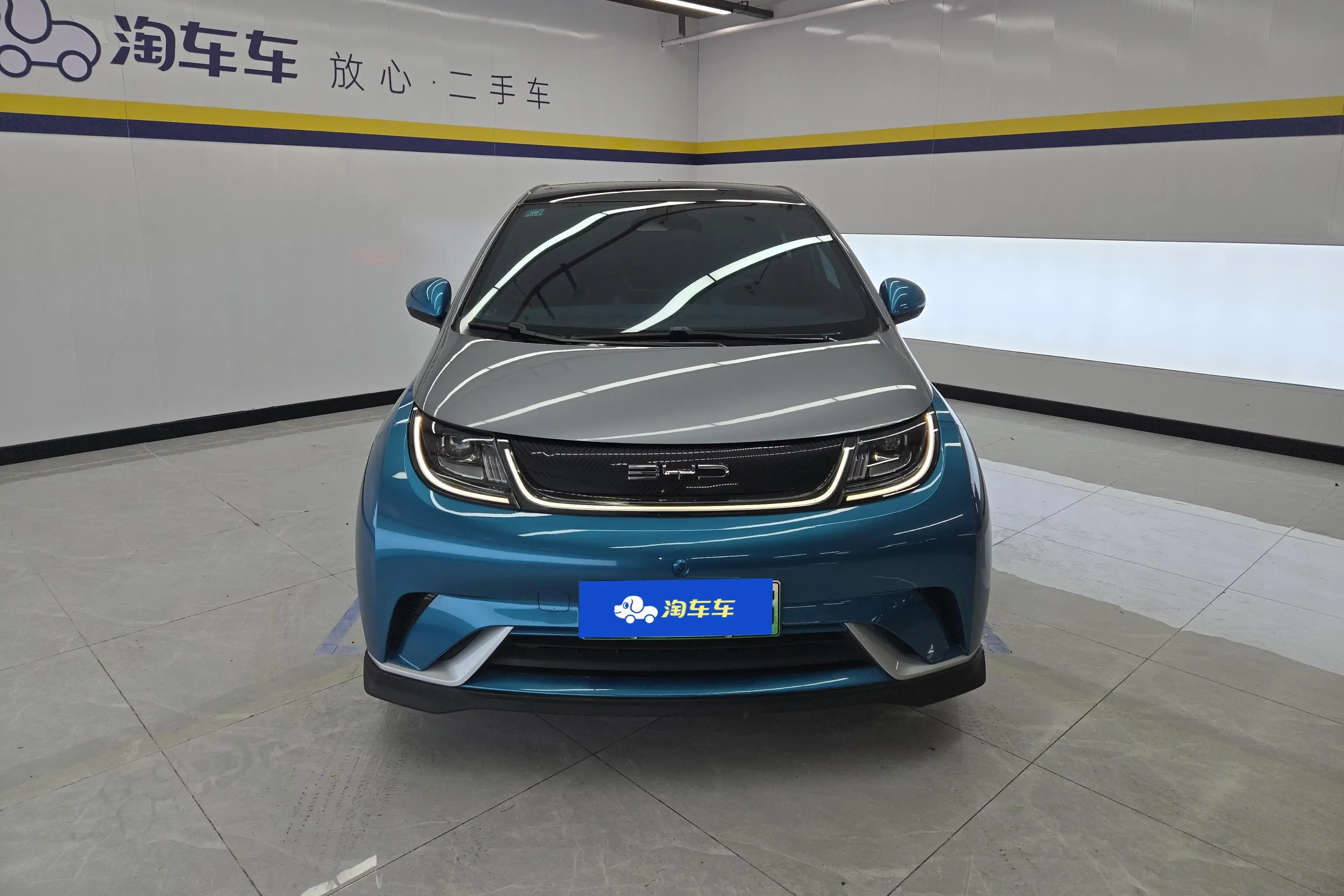 BYD dolphin