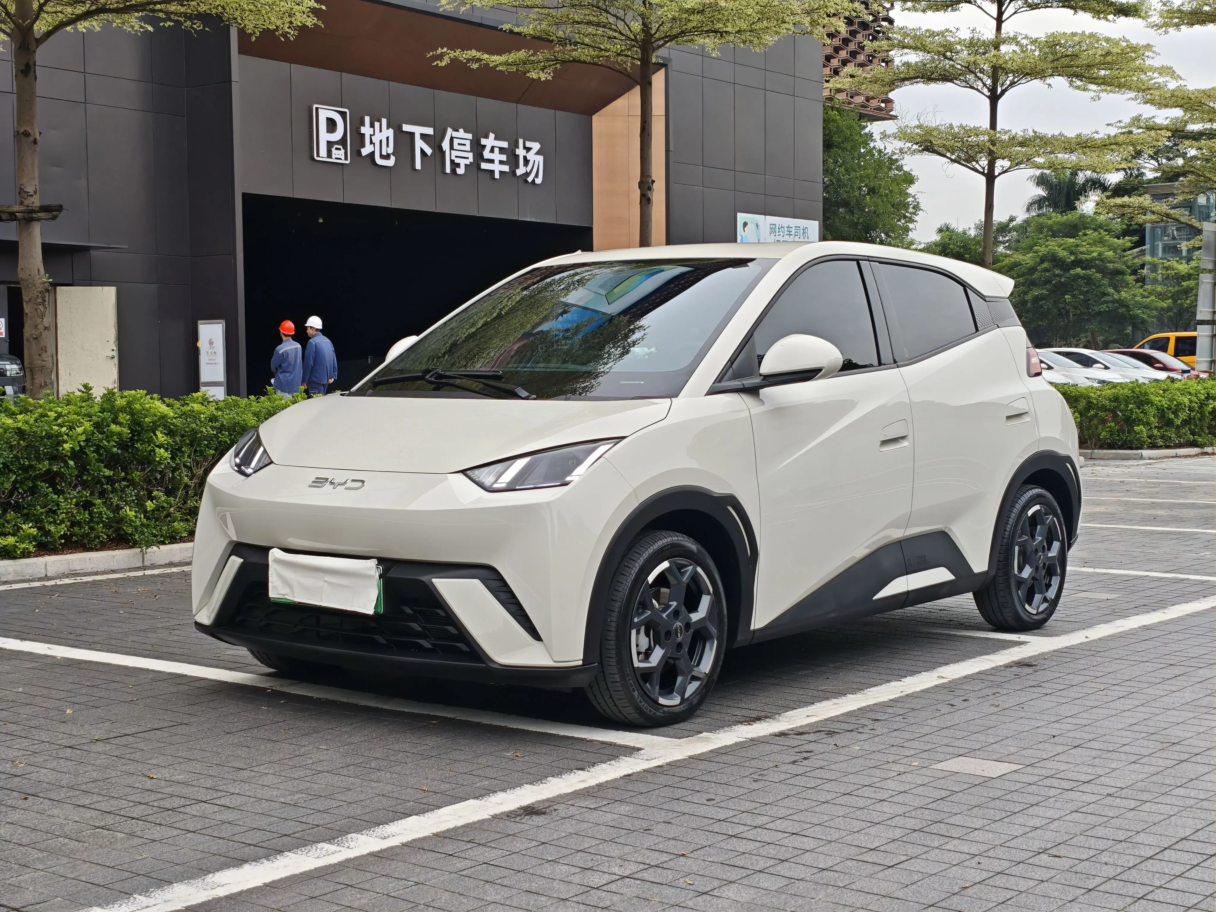 BYD seagull