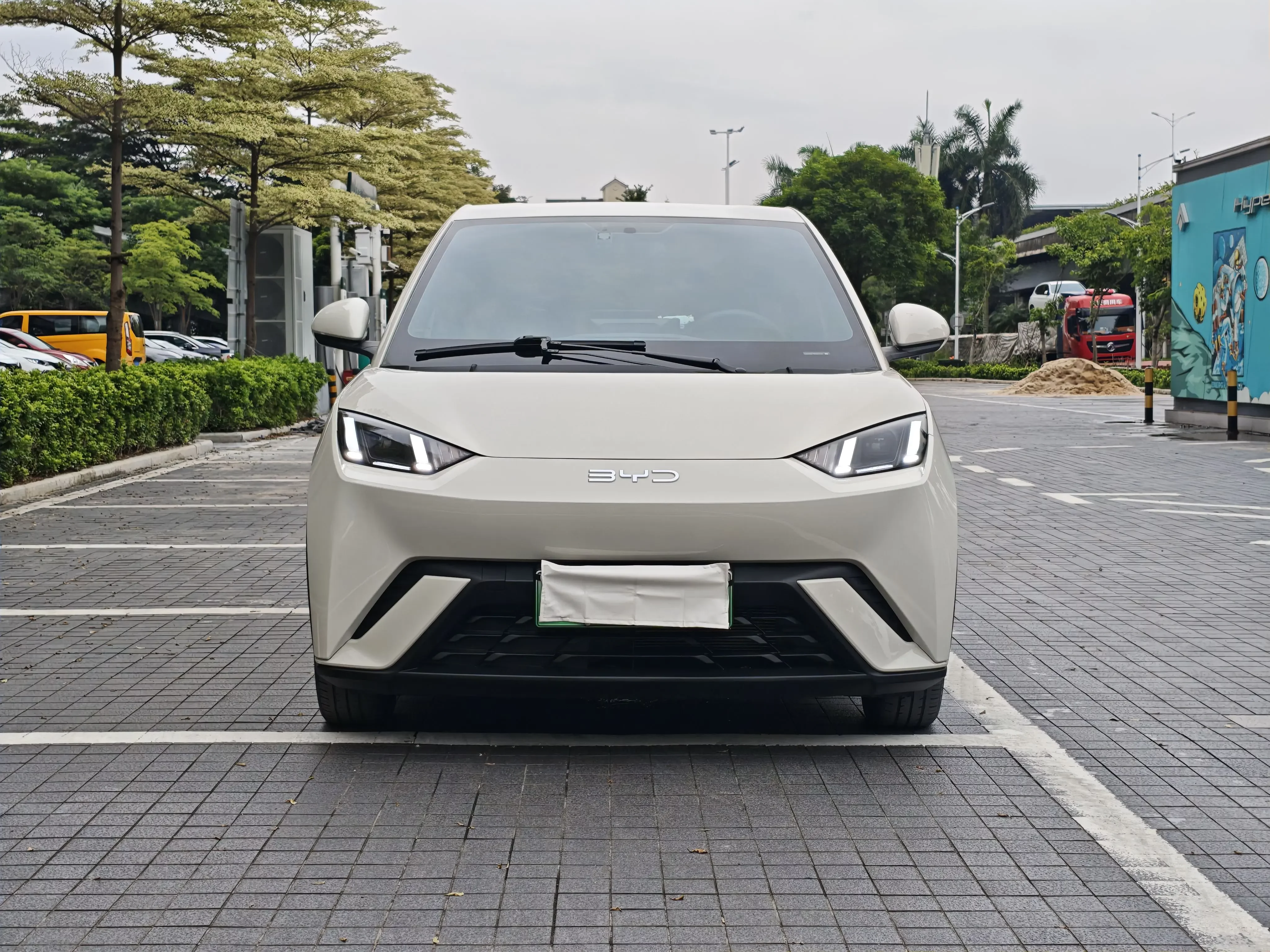 BYD seagull