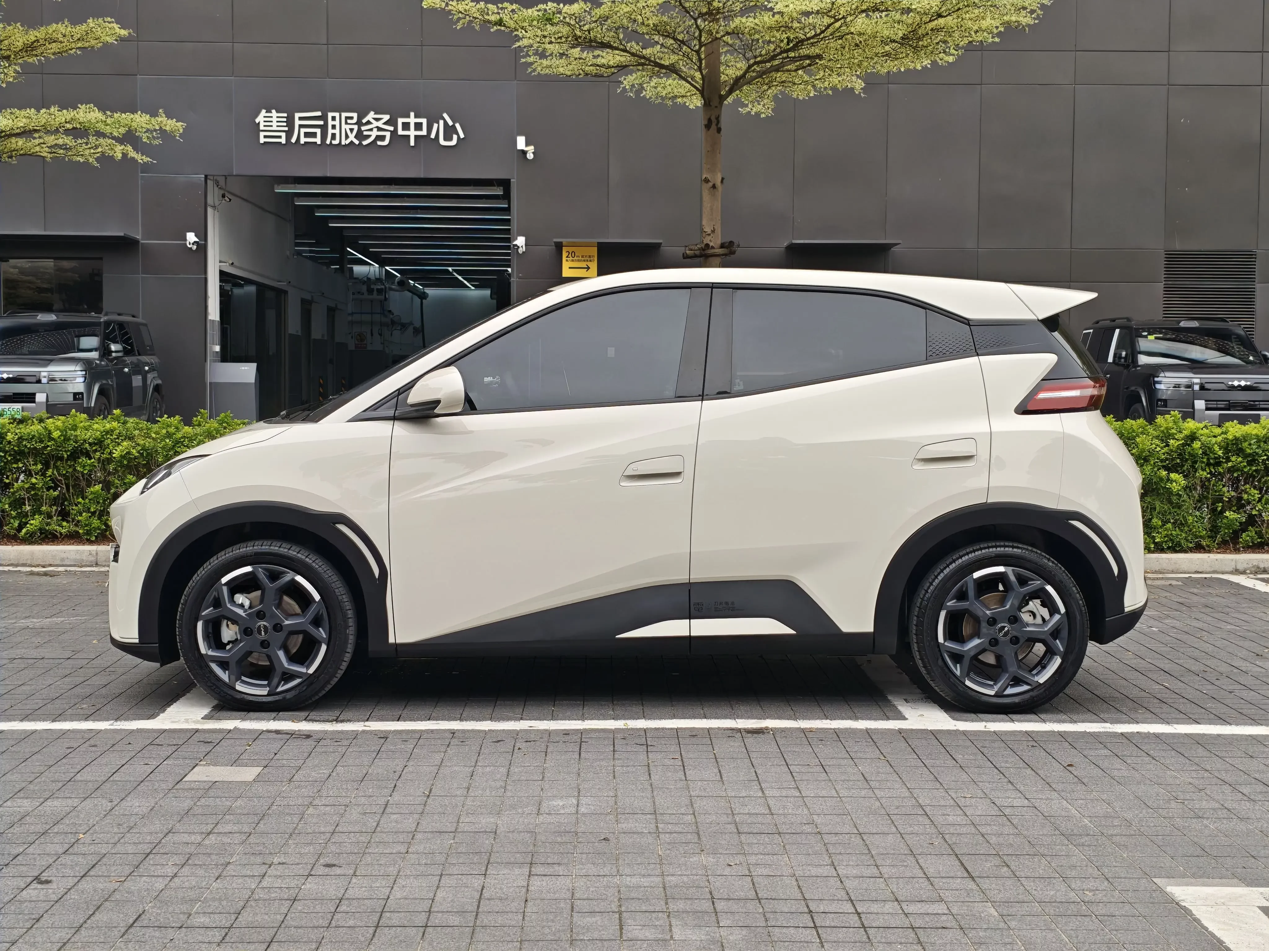 BYD seagull