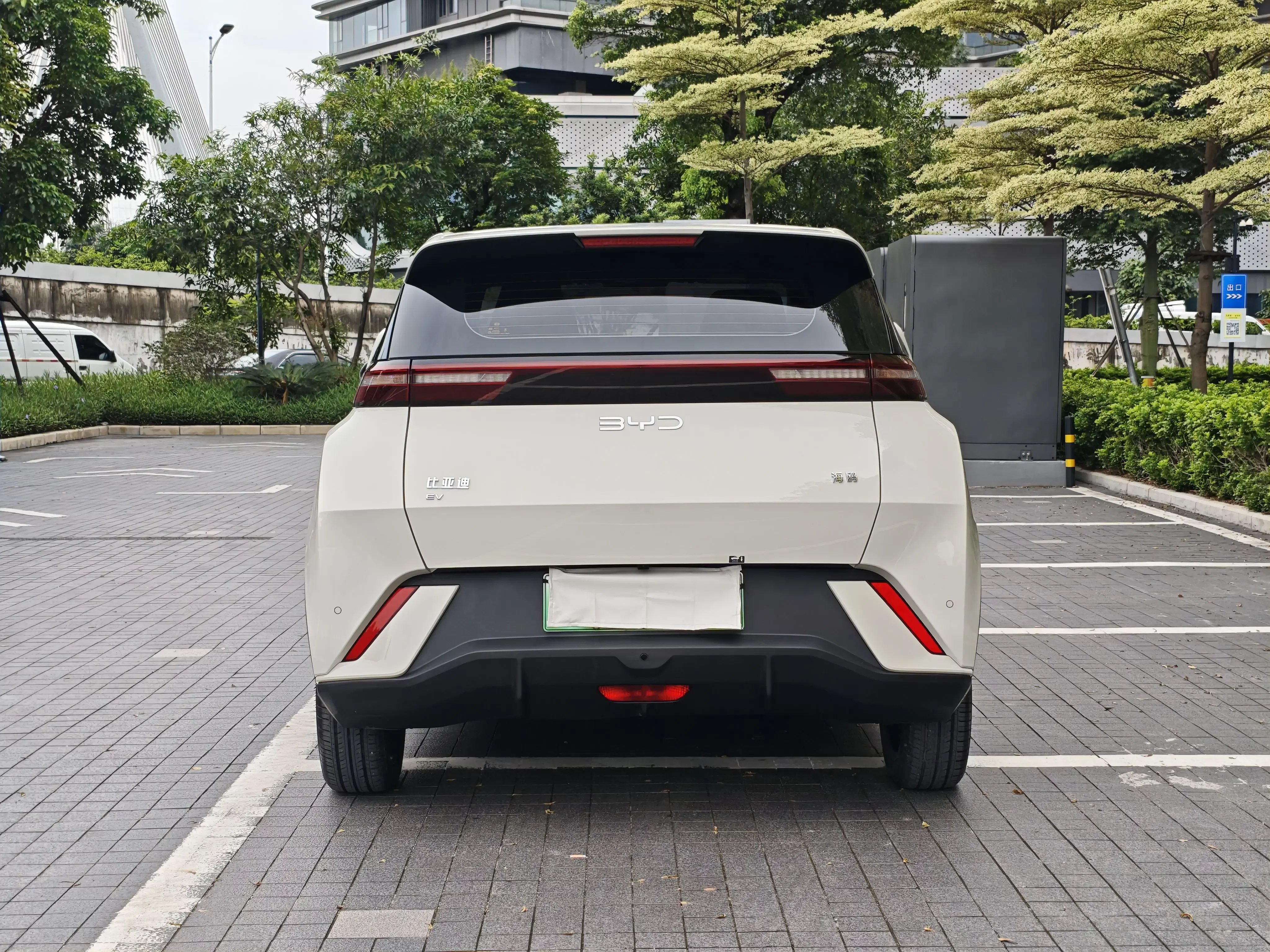 BYD seagull