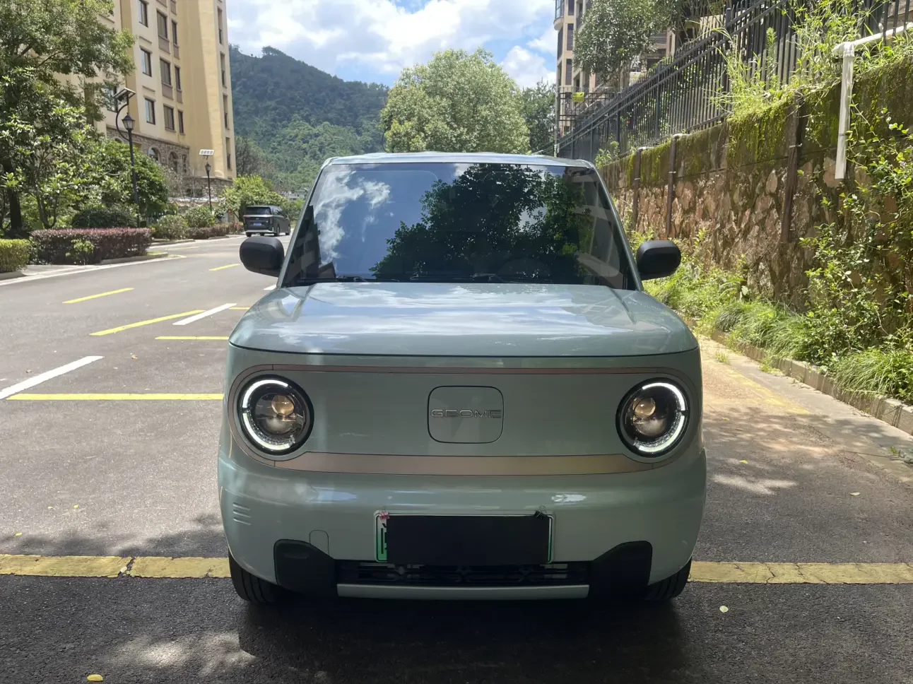 Geely panda