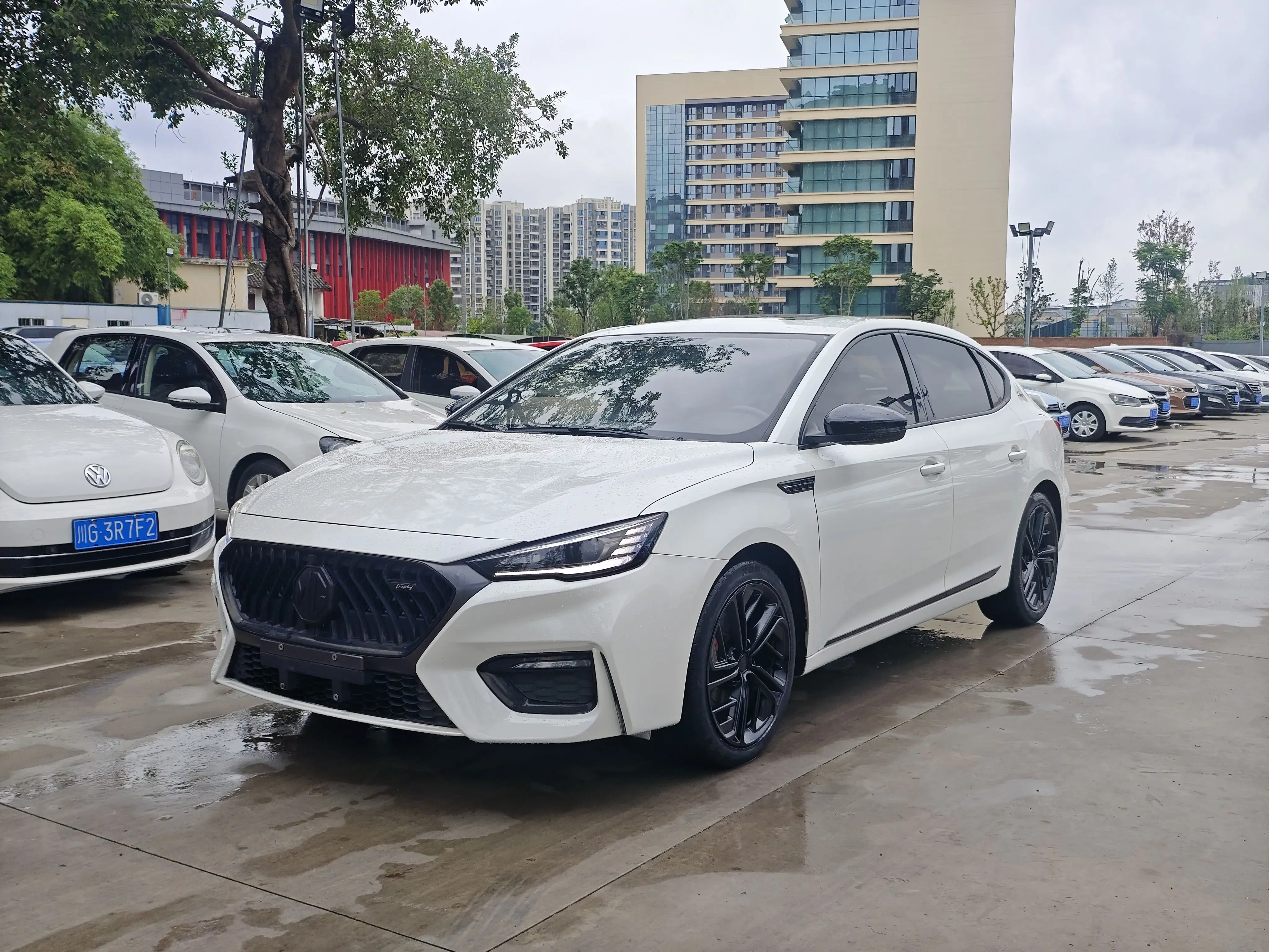 MG 6