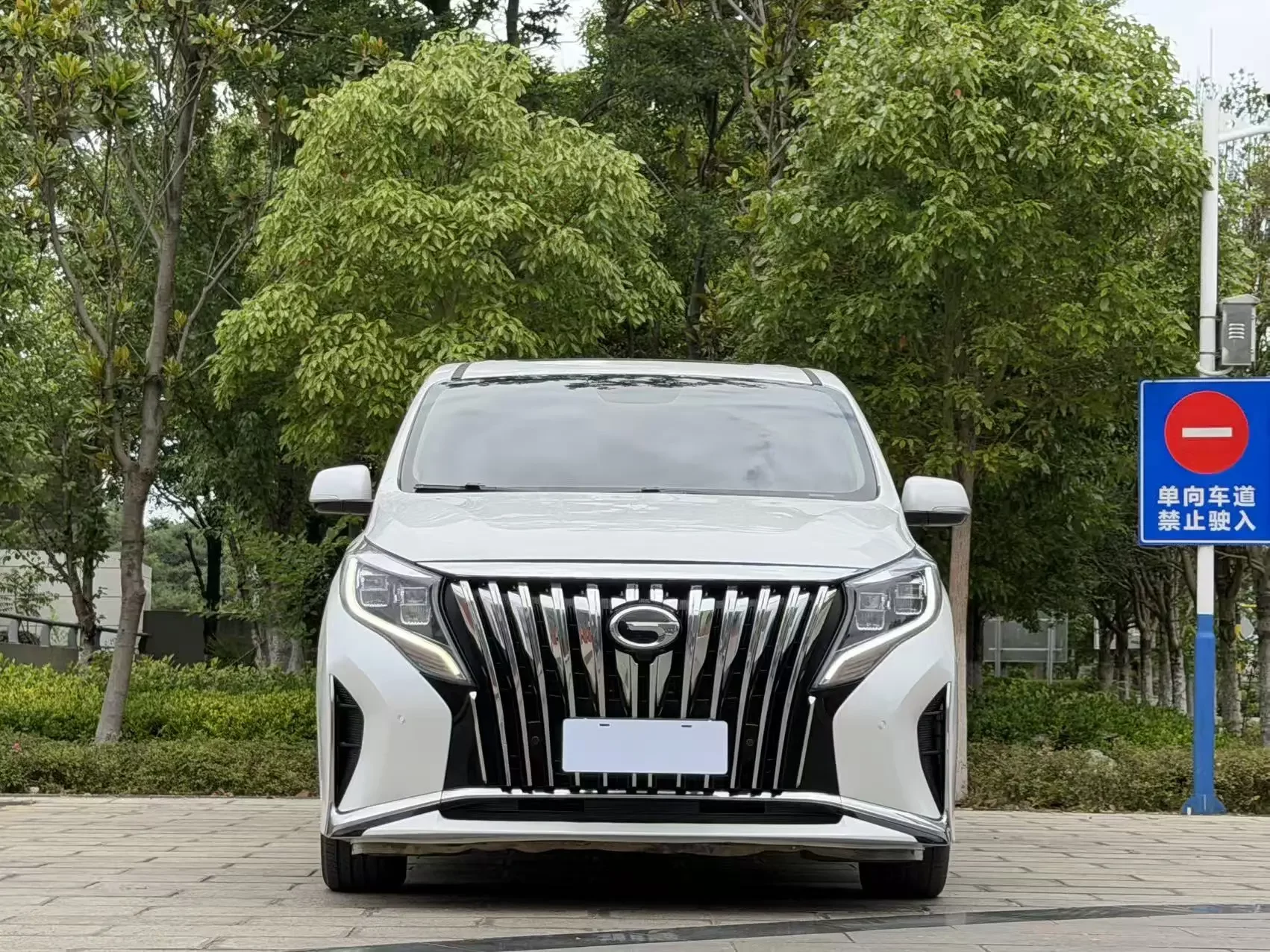 GAC Trumpchi M8  из Китая