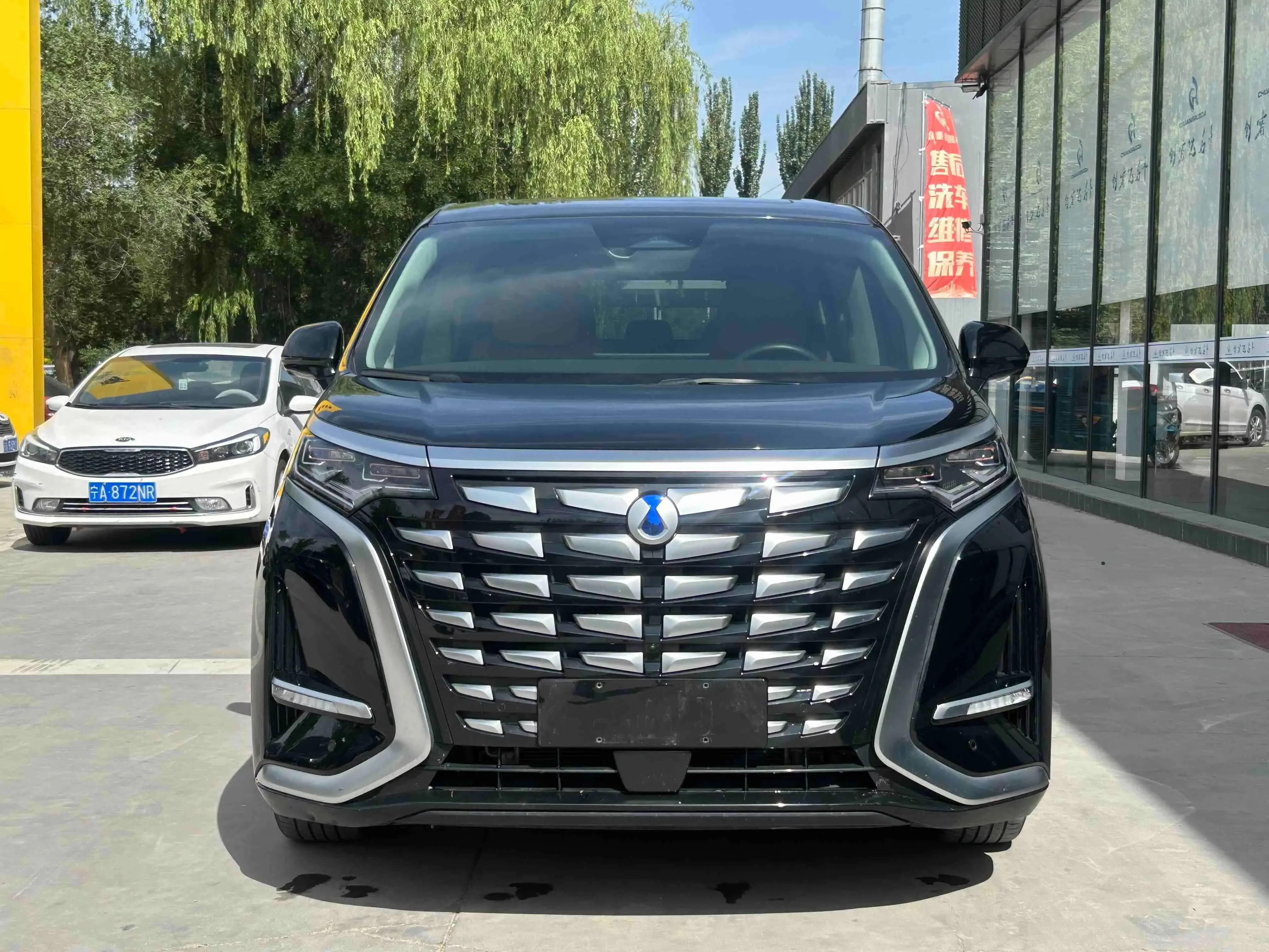 Denza D9 DM