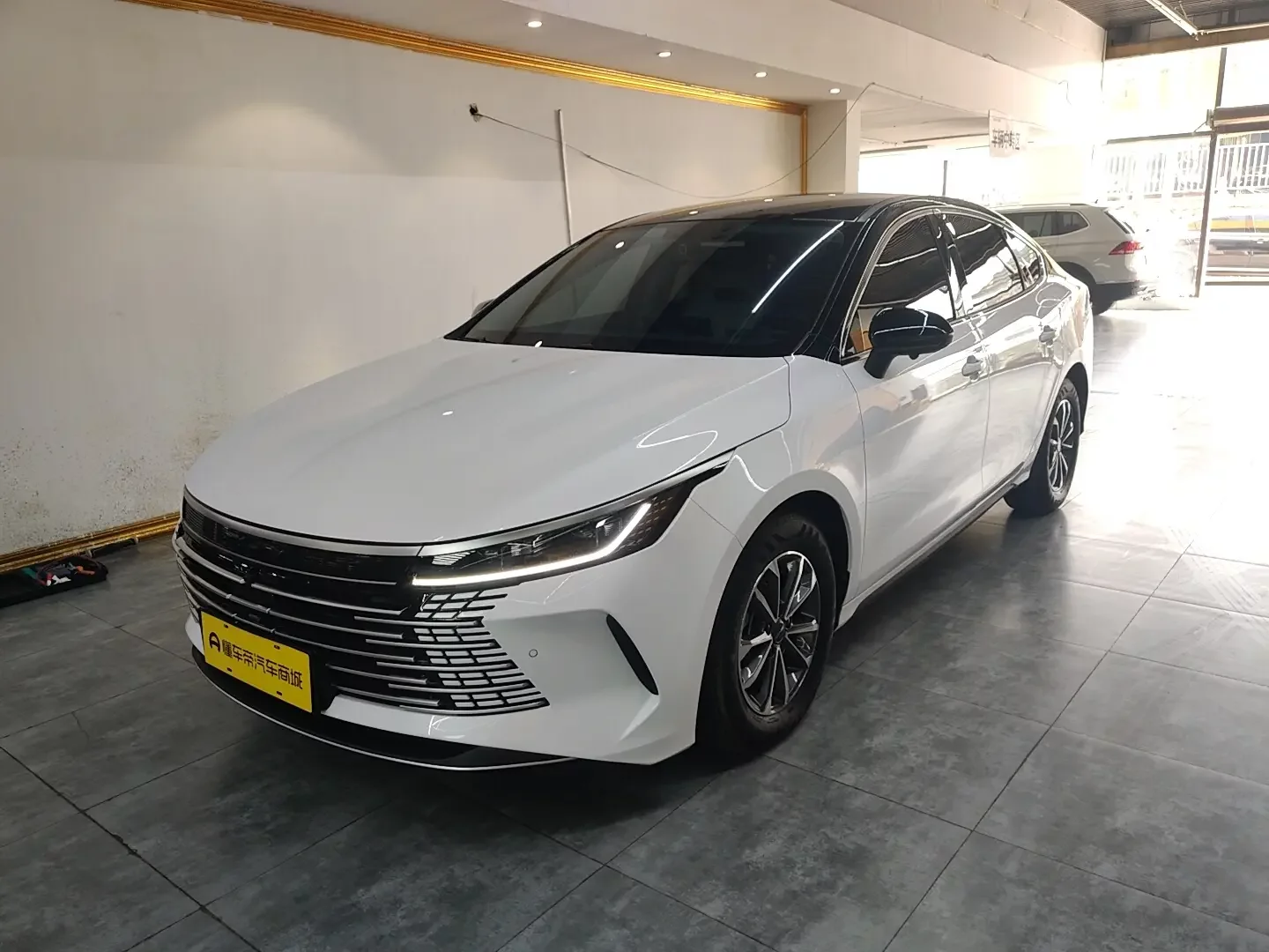 BYD Destroyer 05