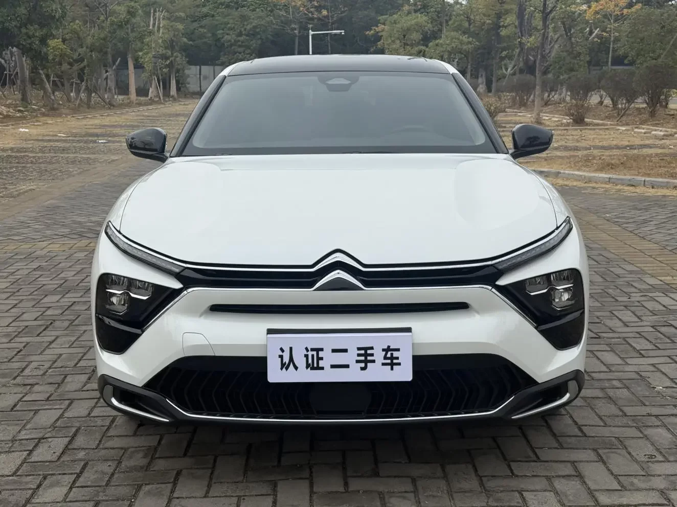 Citroën Versailles C5 X