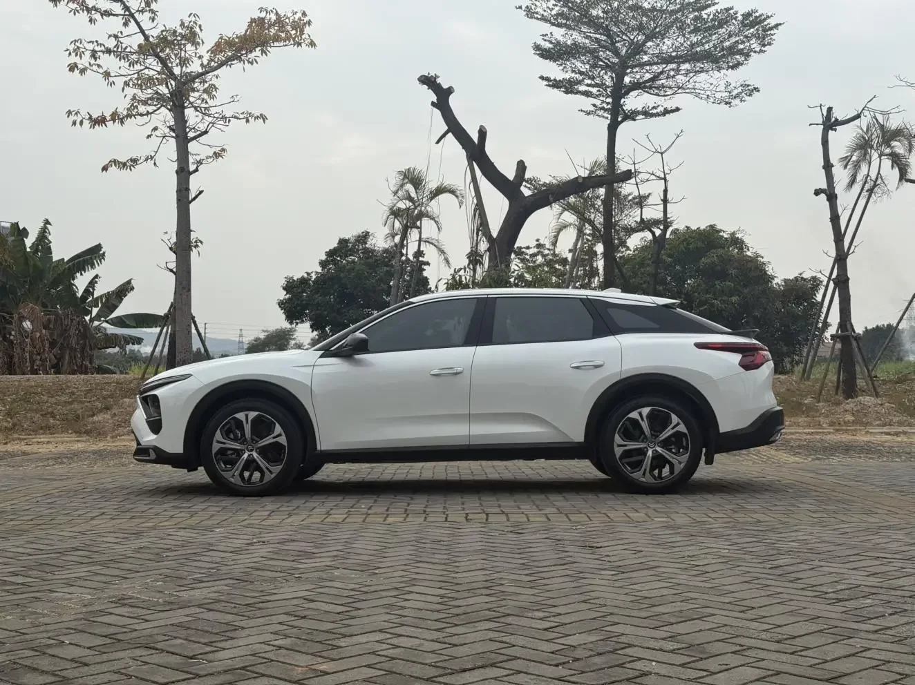 Citroën Versailles C5 X
