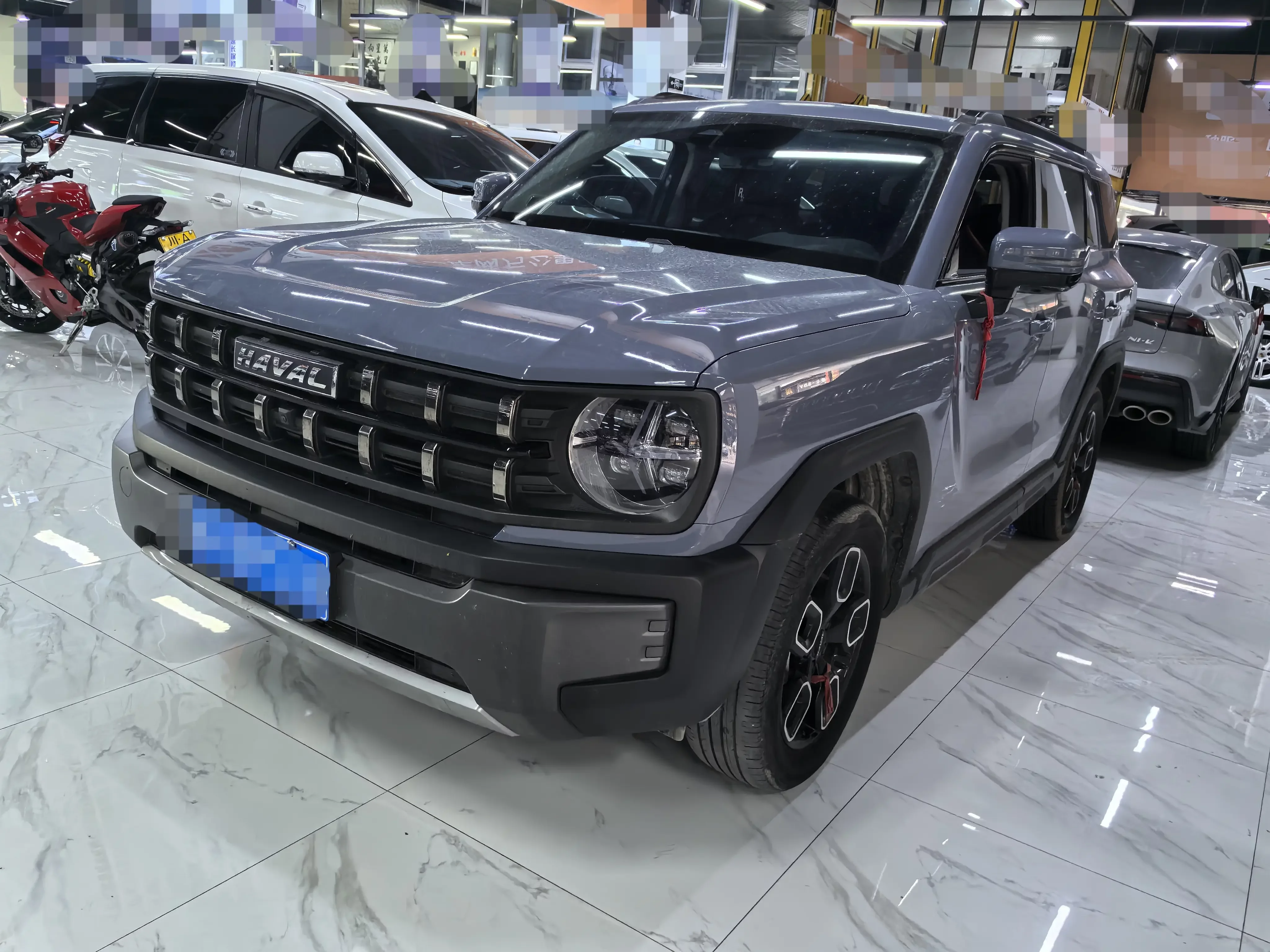 Haval cool dog