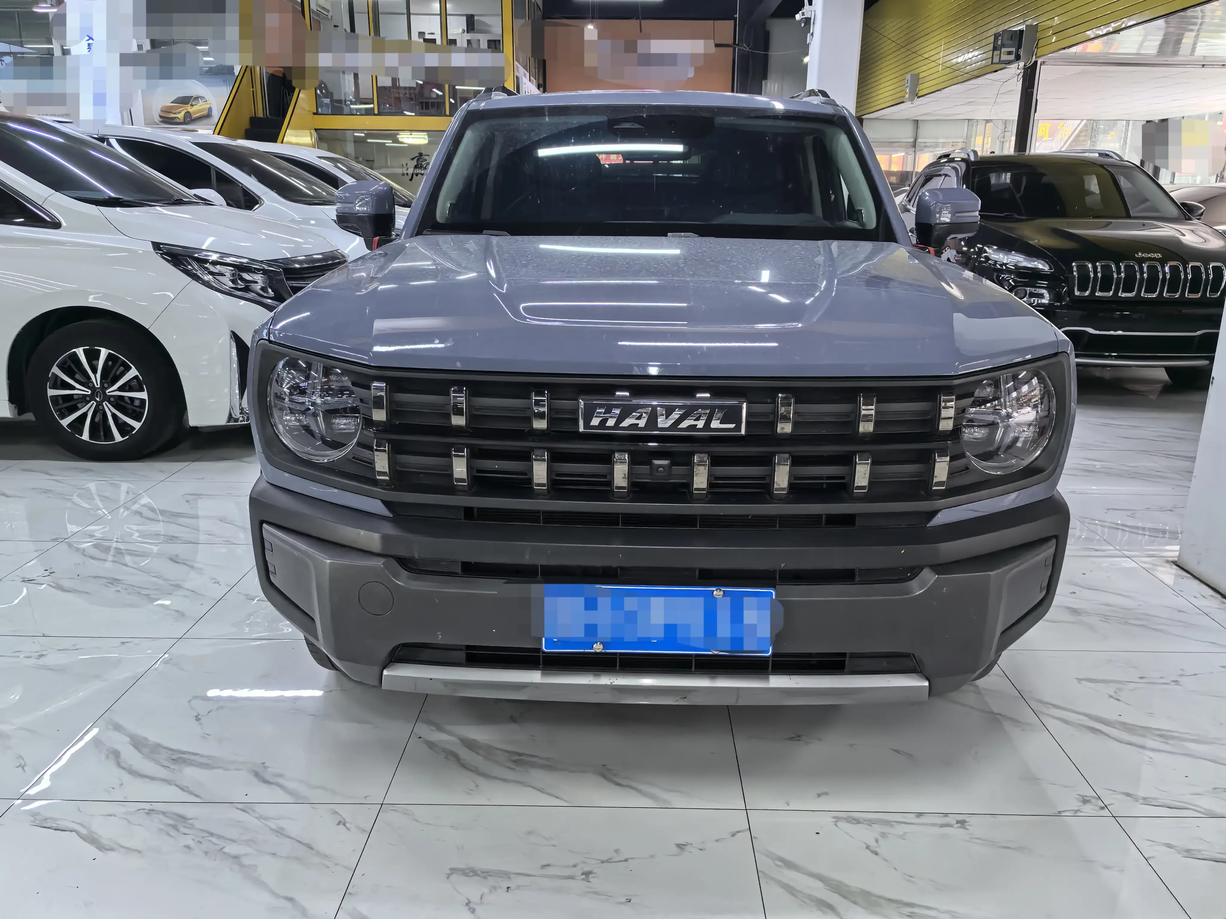 Haval cool dog