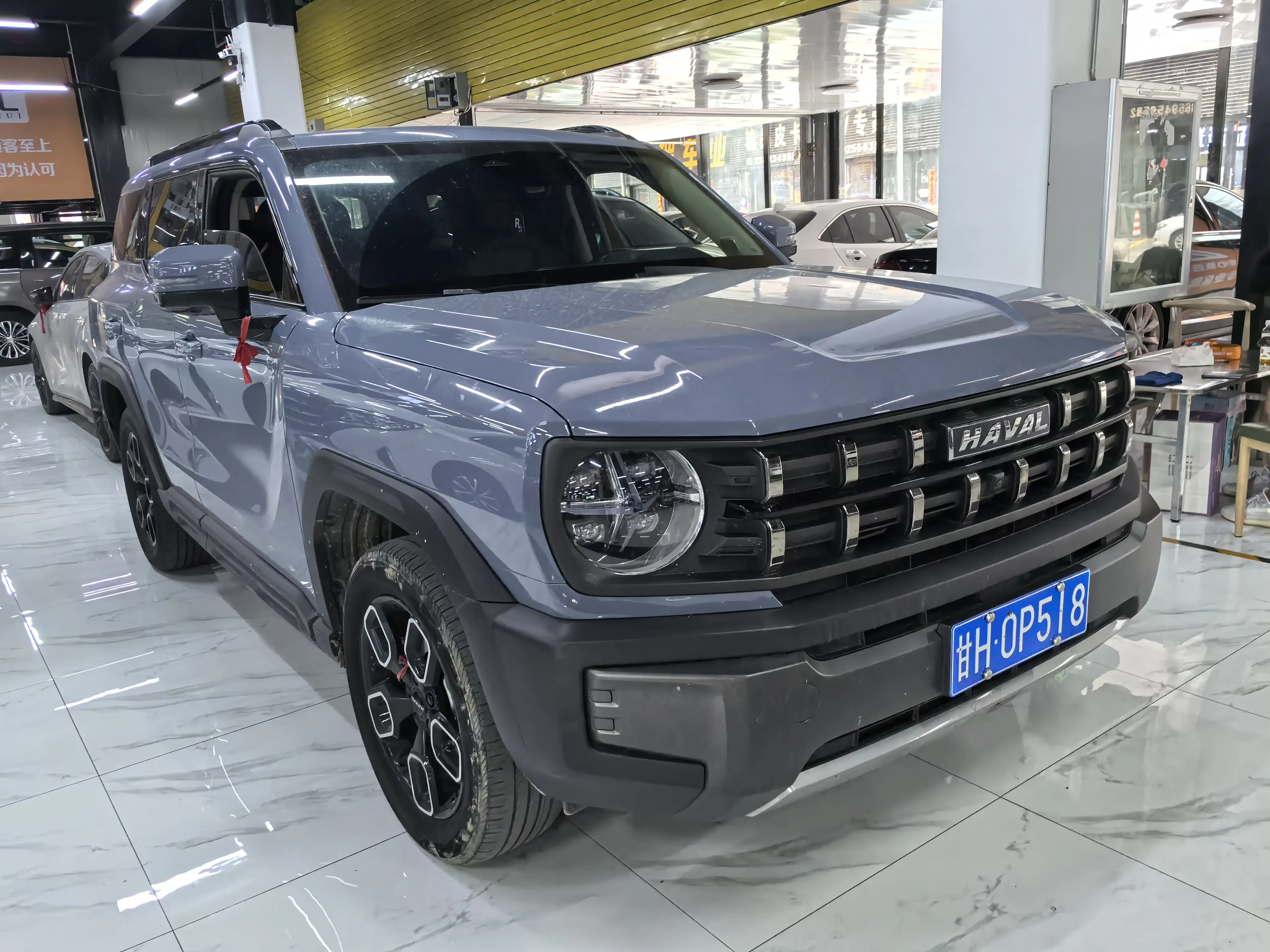 Haval cool dog