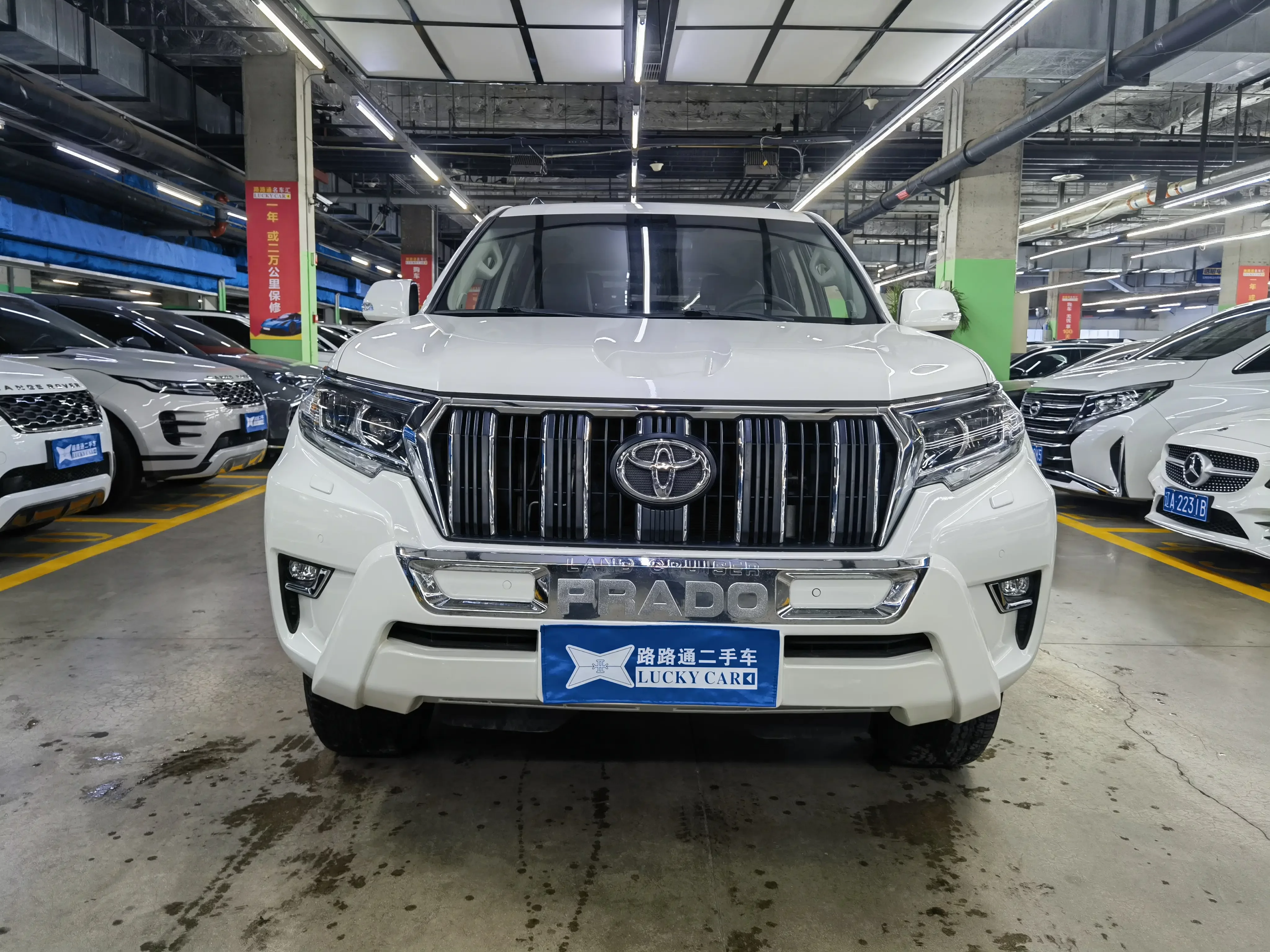 Toyota prado