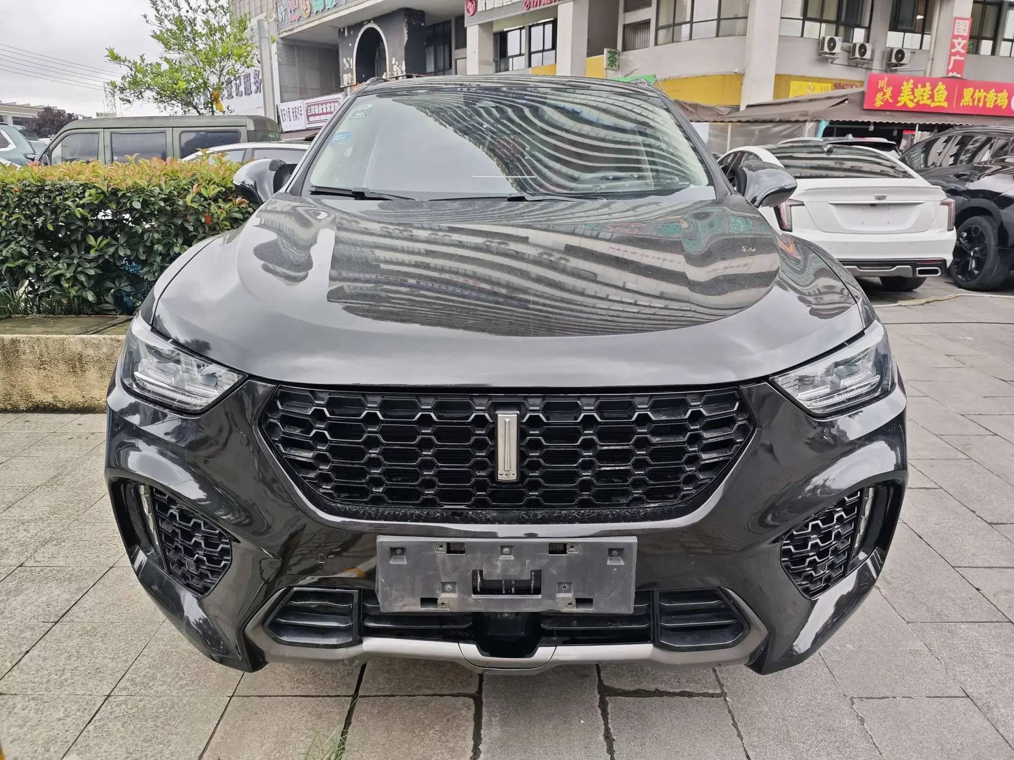 Wey Wei brand VV5
