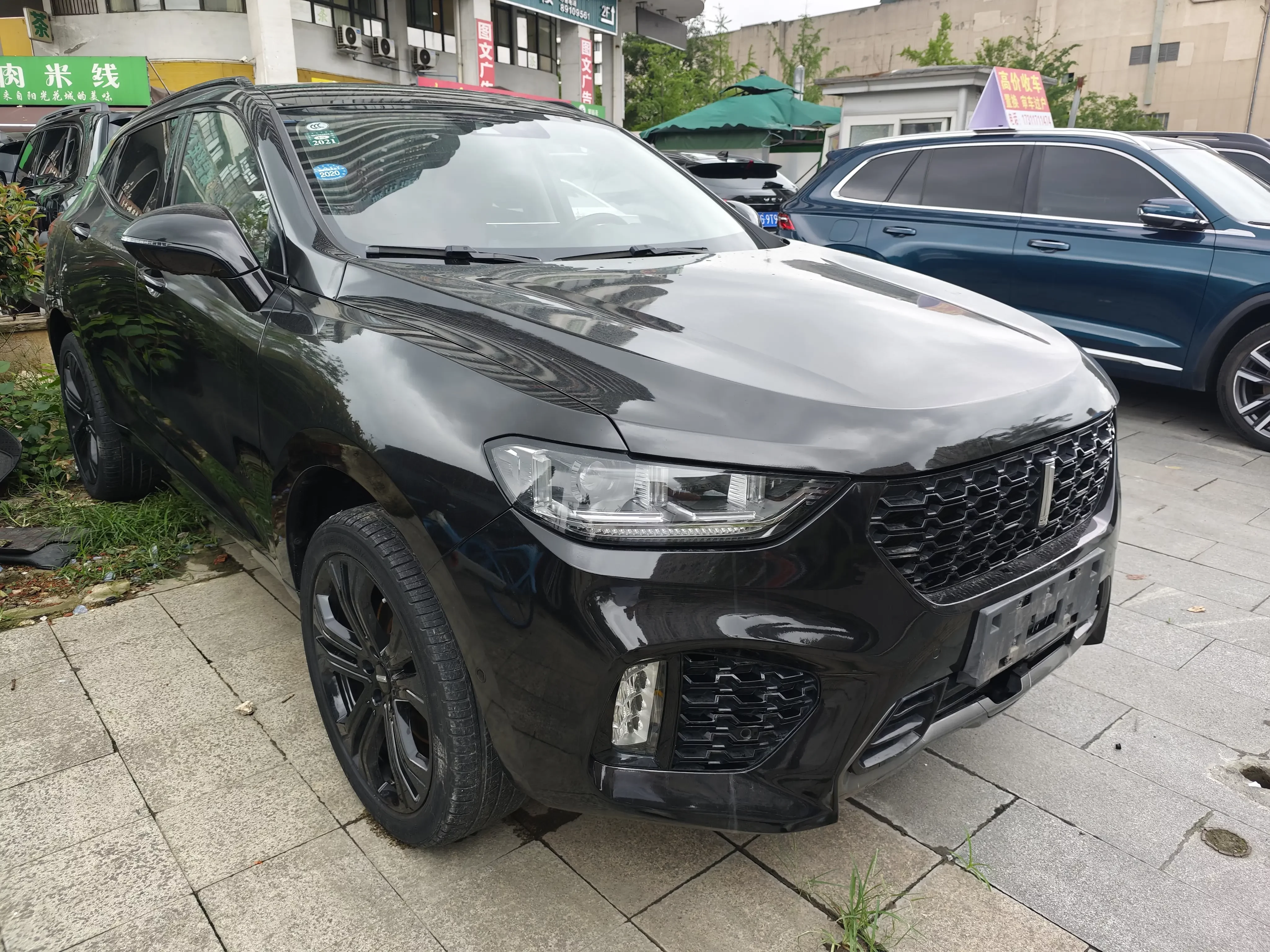 Wey Wei brand VV5