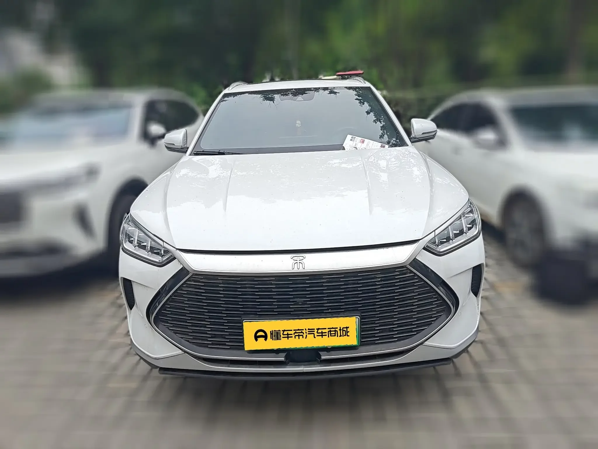 BYD Song PLUS DM