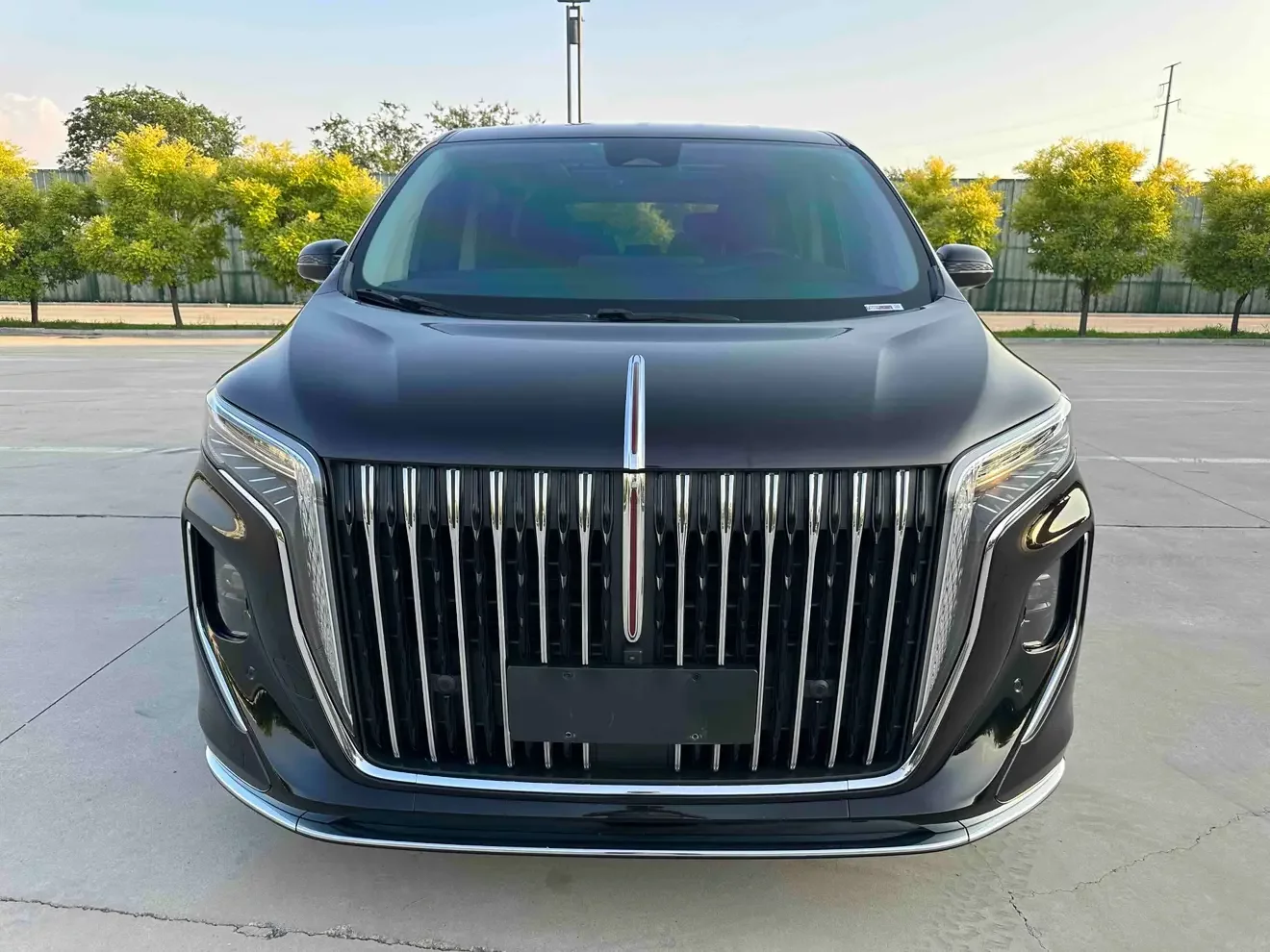 Hongqi HQ9