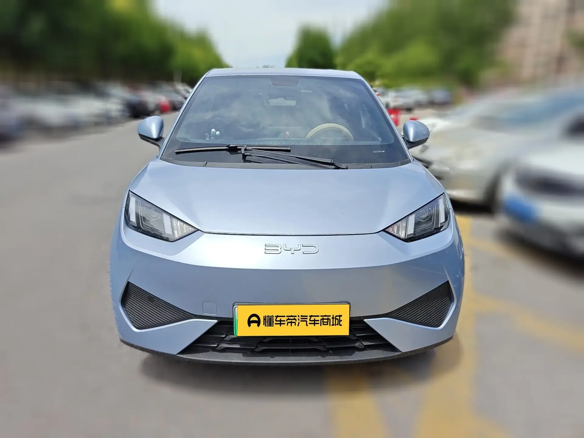 BYD seagull