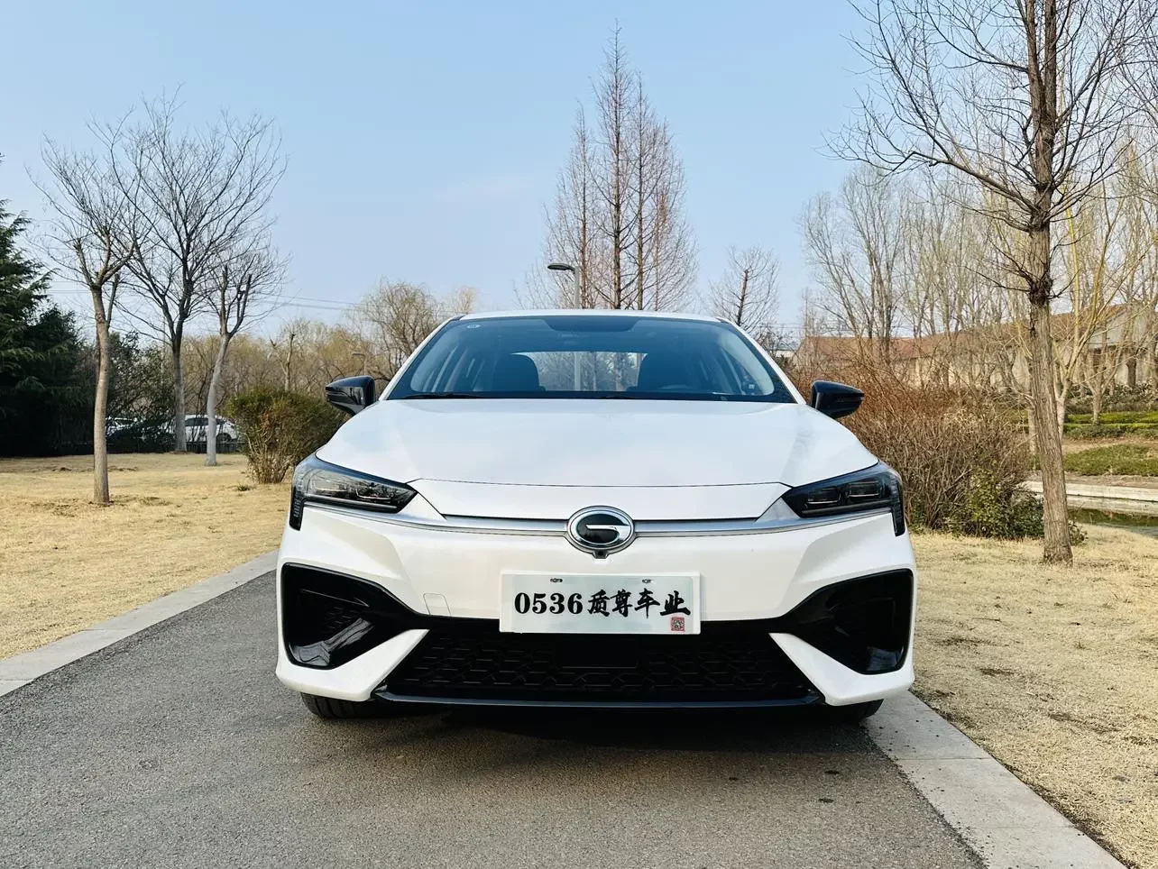 GAC AION S