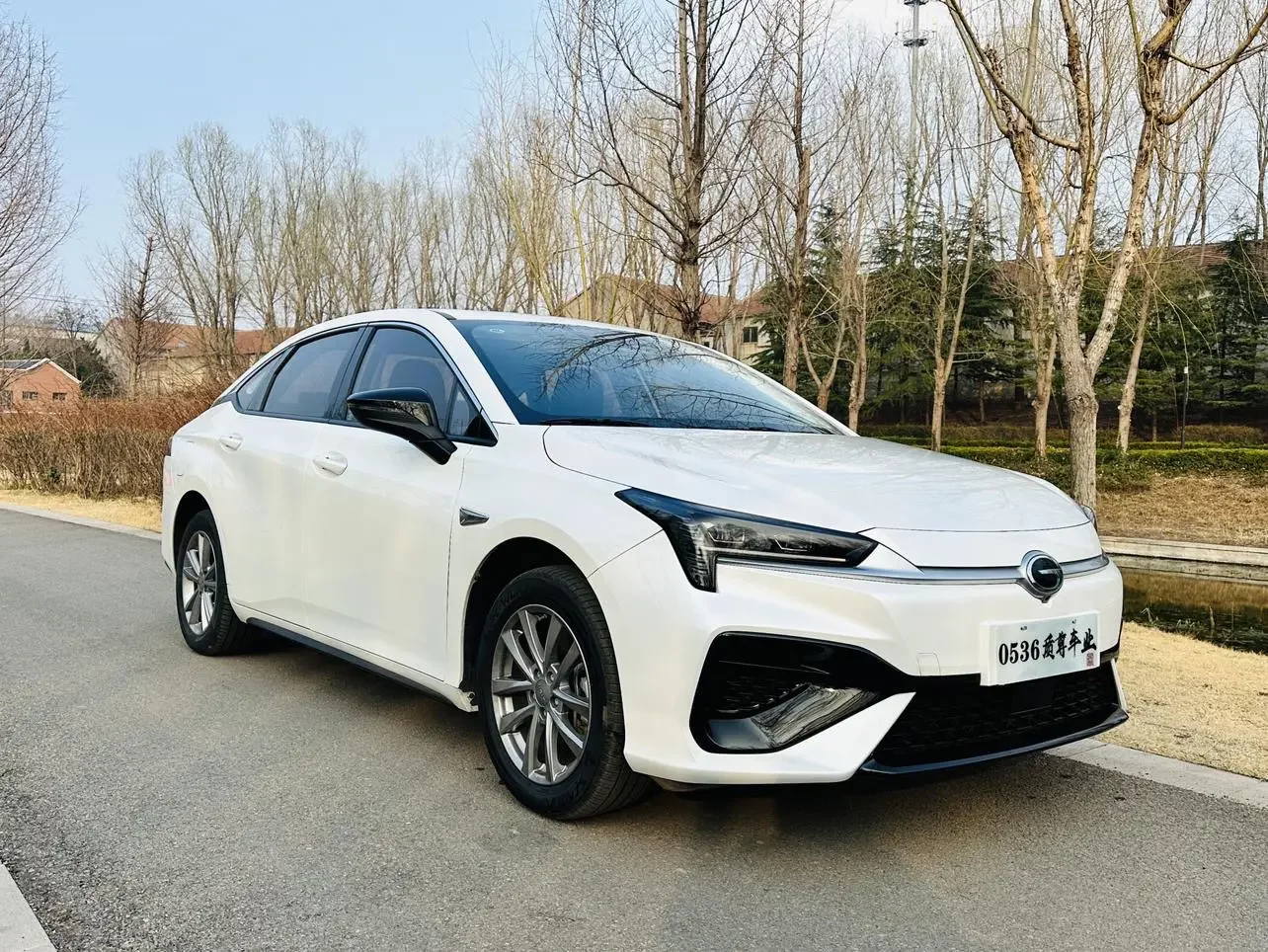GAC AION S
