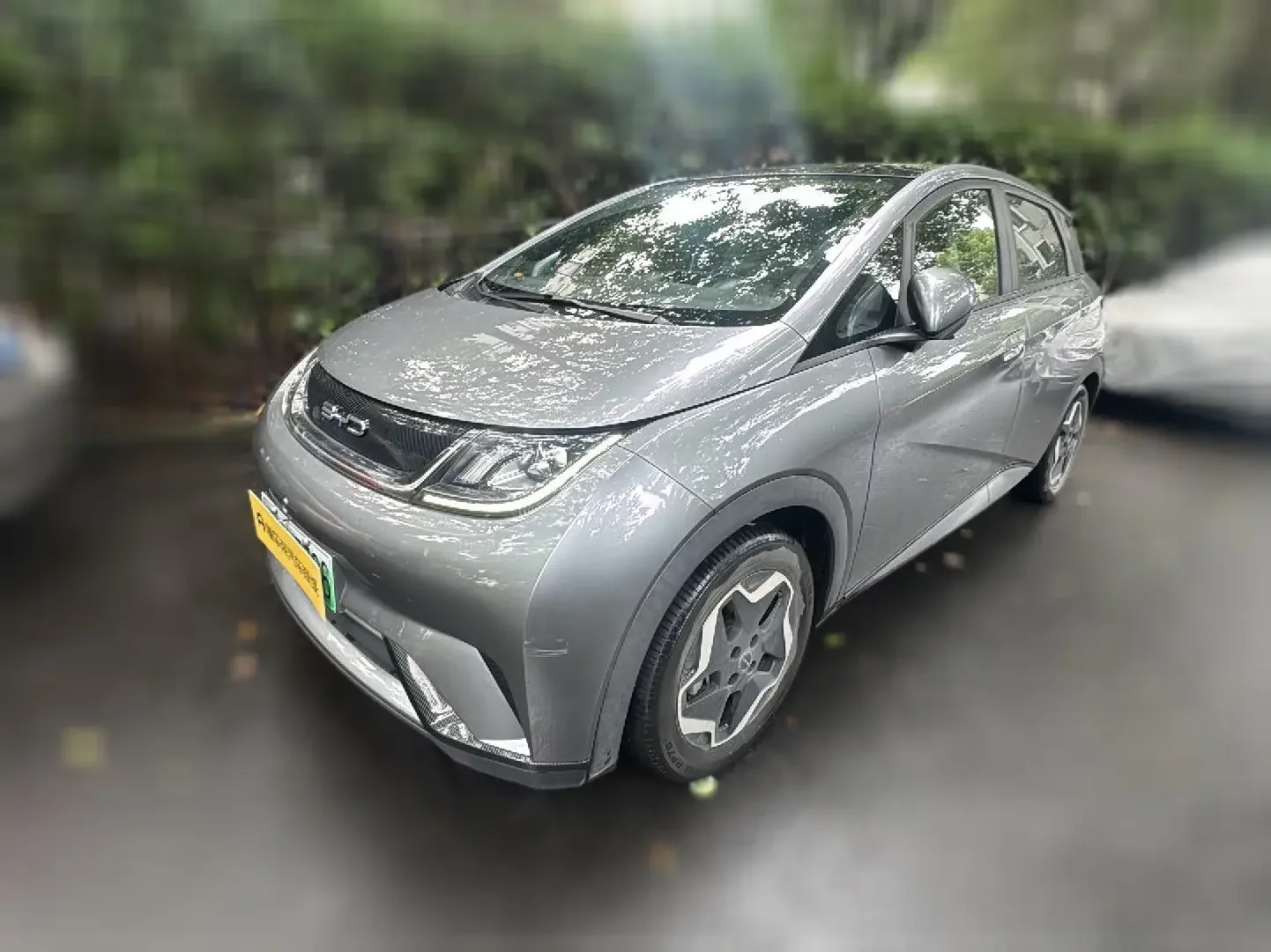 BYD dolphin