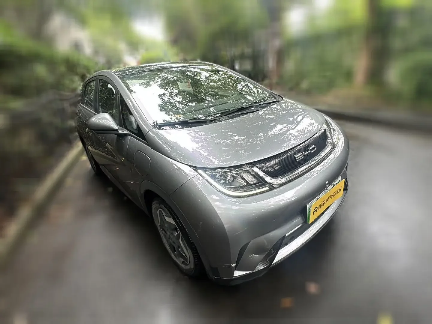 BYD dolphin
