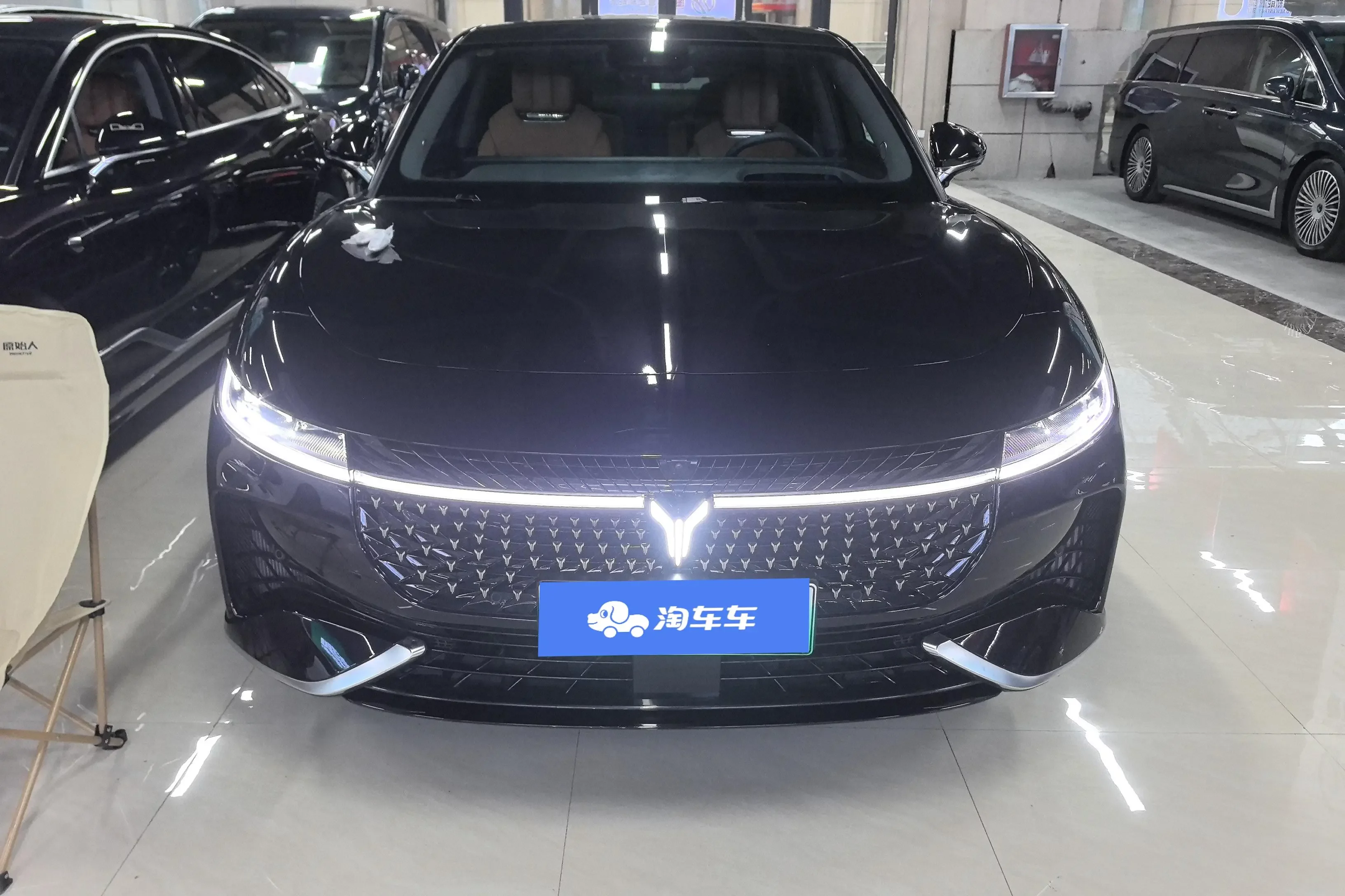 Voyah Passion PHEV