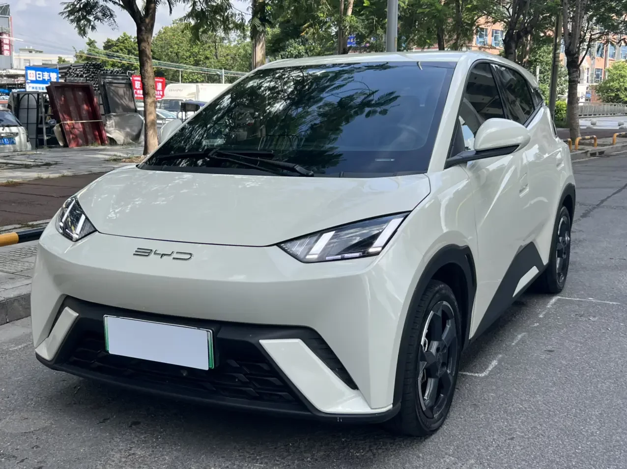 BYD seagull