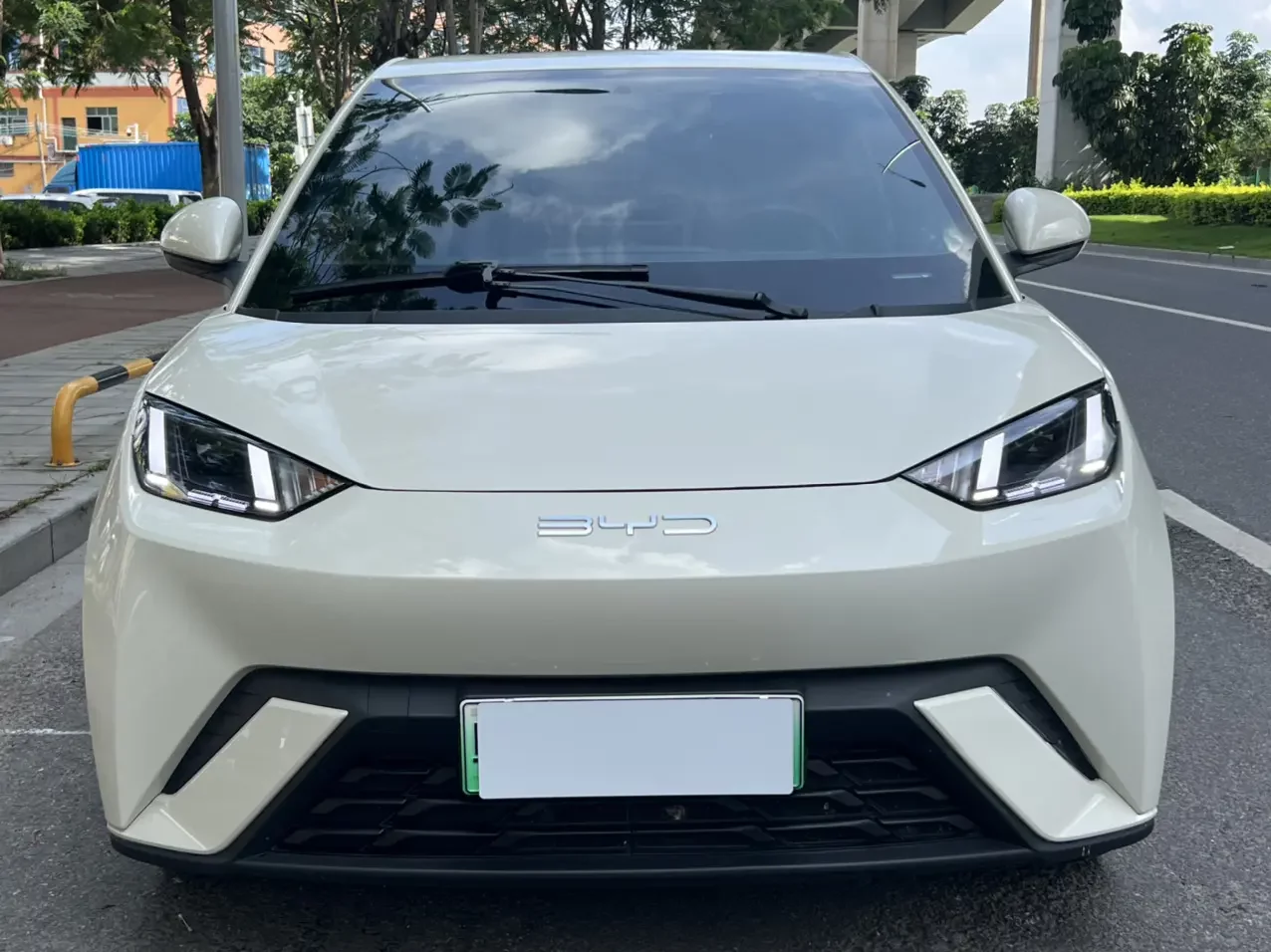 BYD seagull