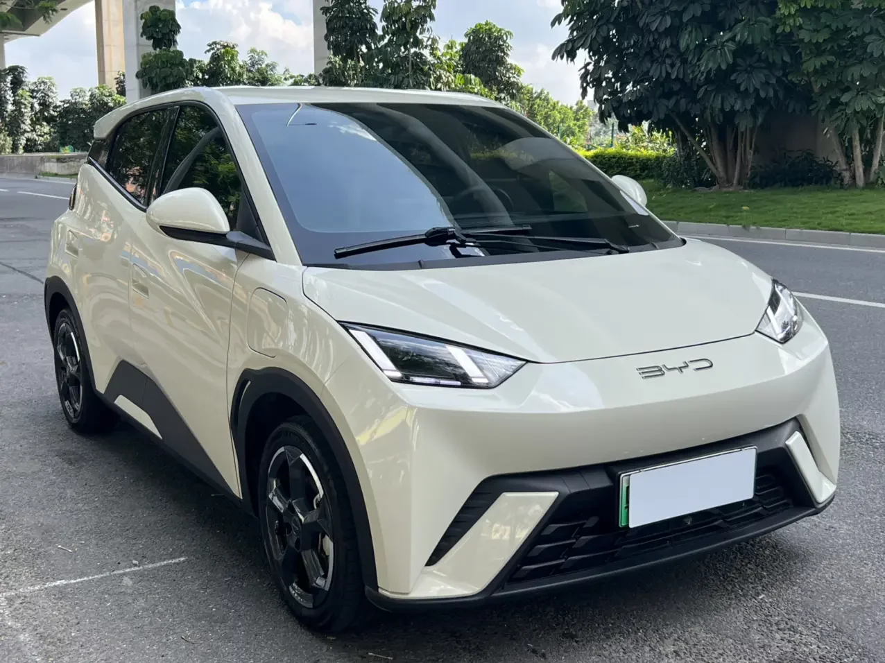 BYD seagull