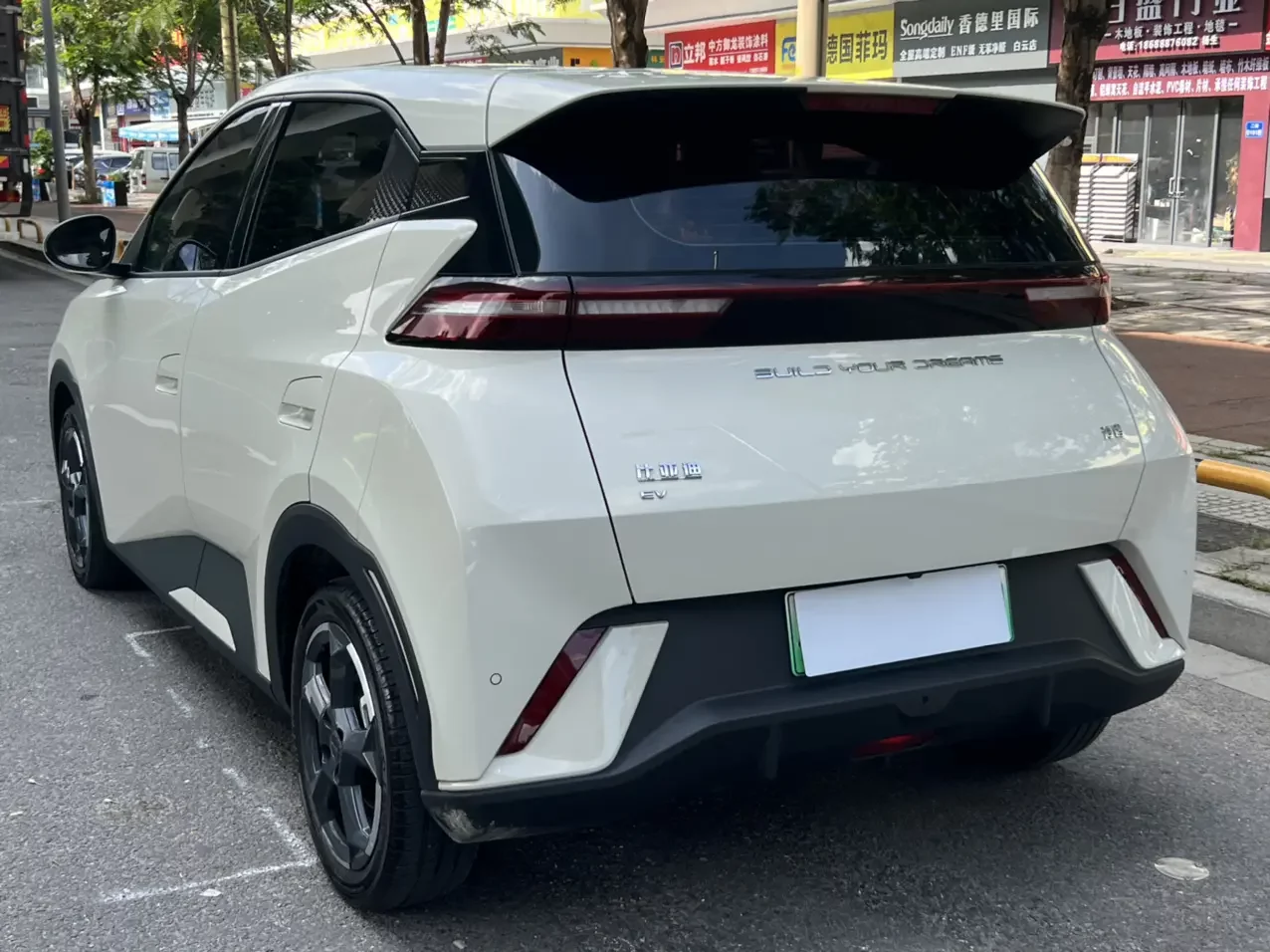 BYD seagull
