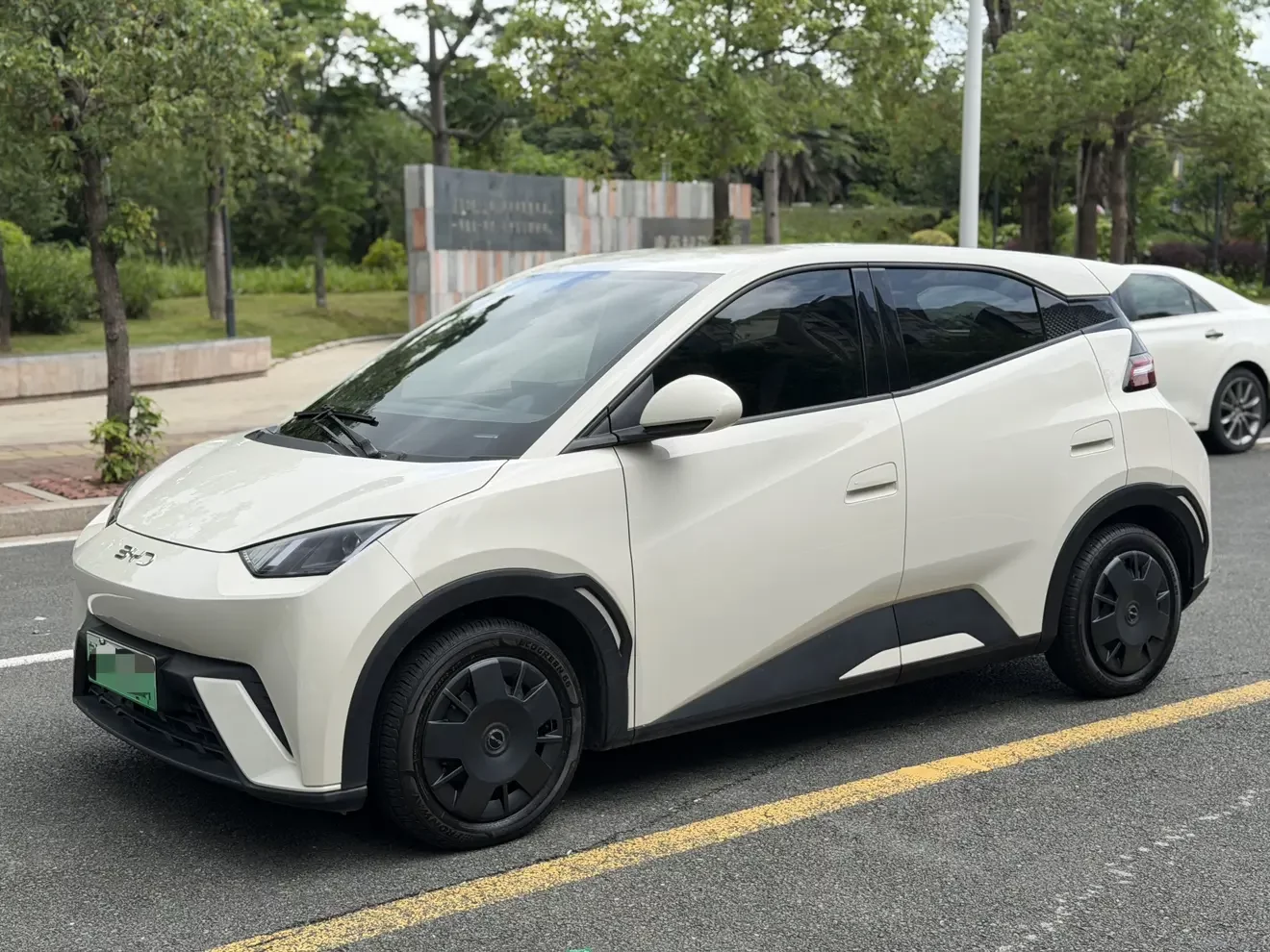 BYD seagull