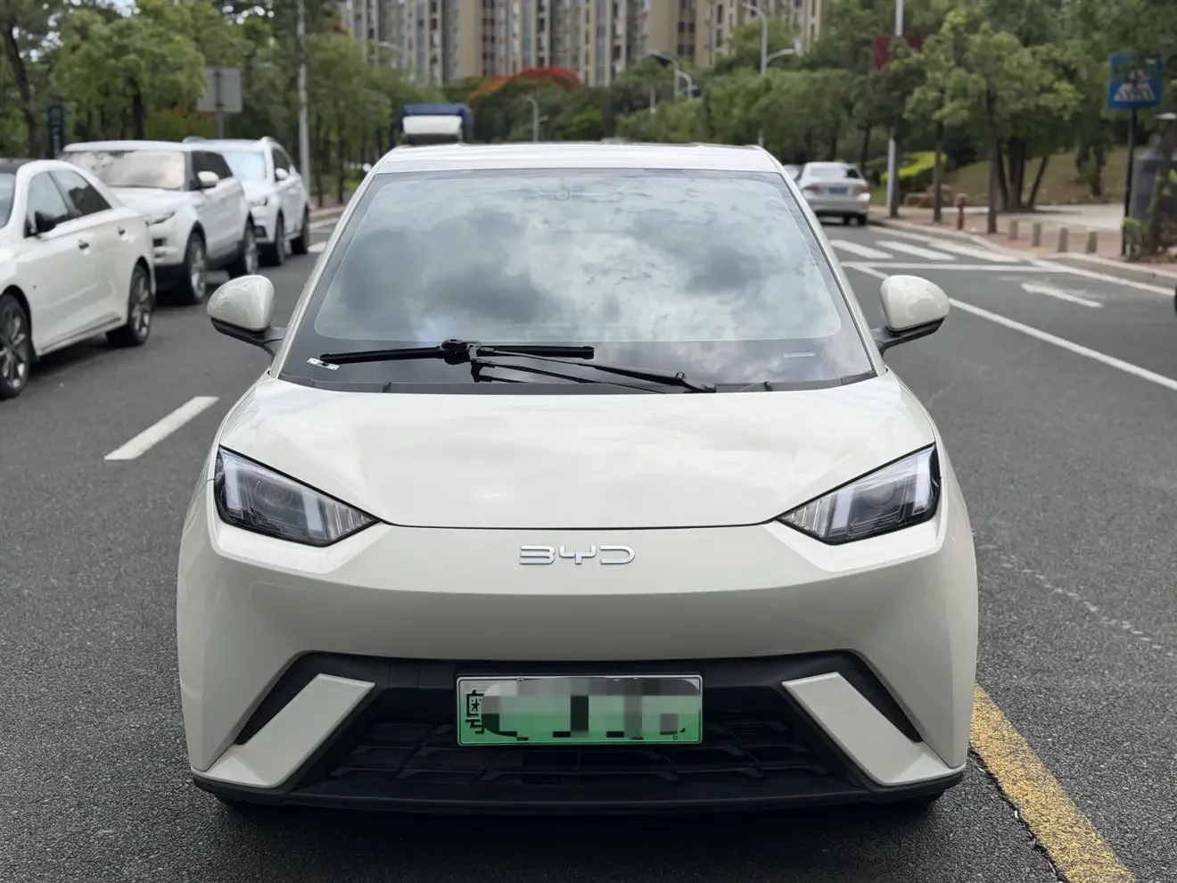 BYD seagull