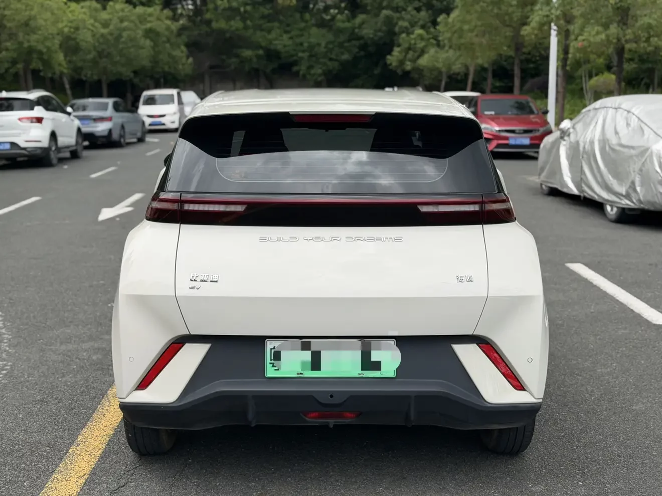 BYD seagull