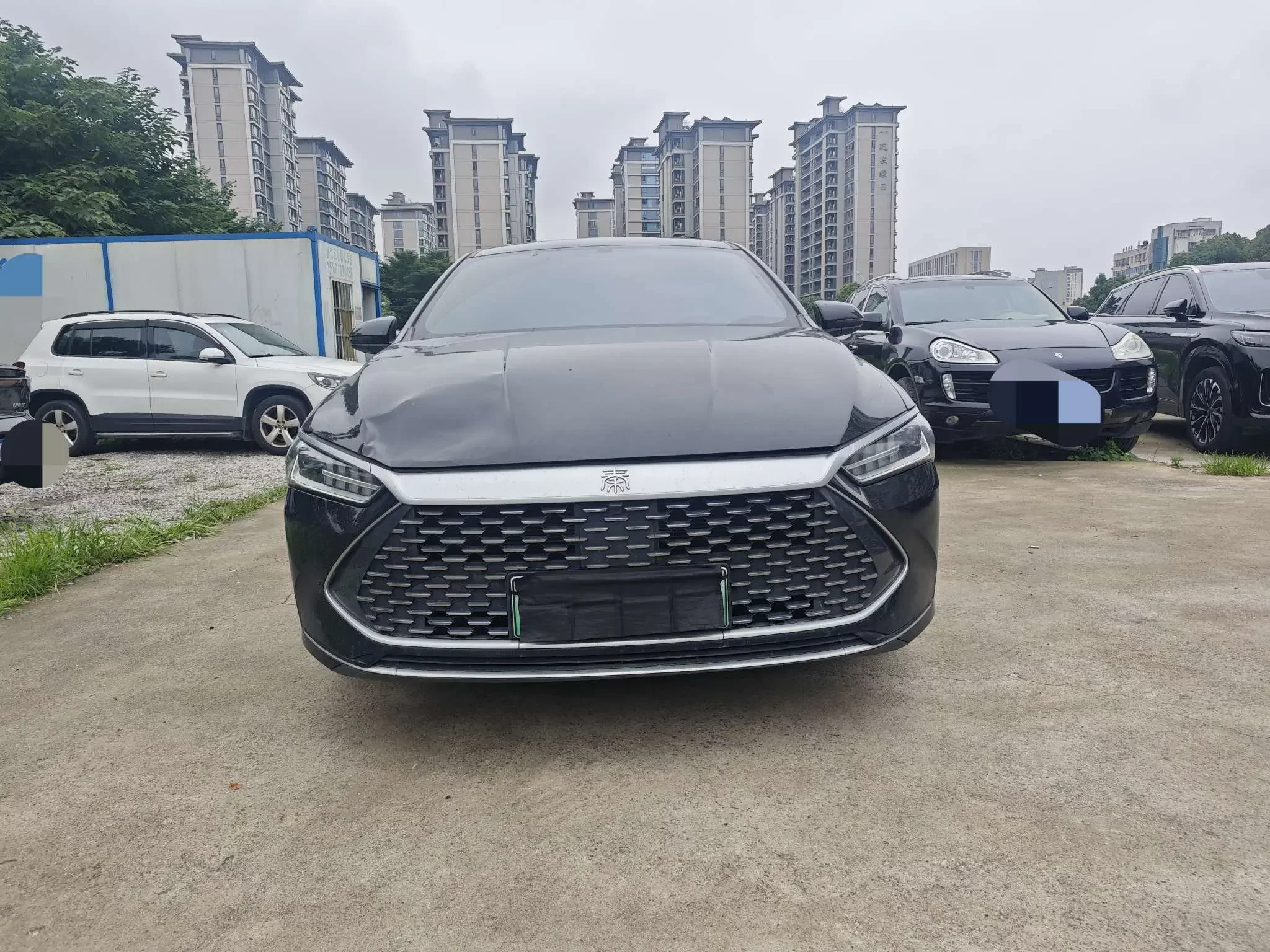 BYD Qin PLUS DM