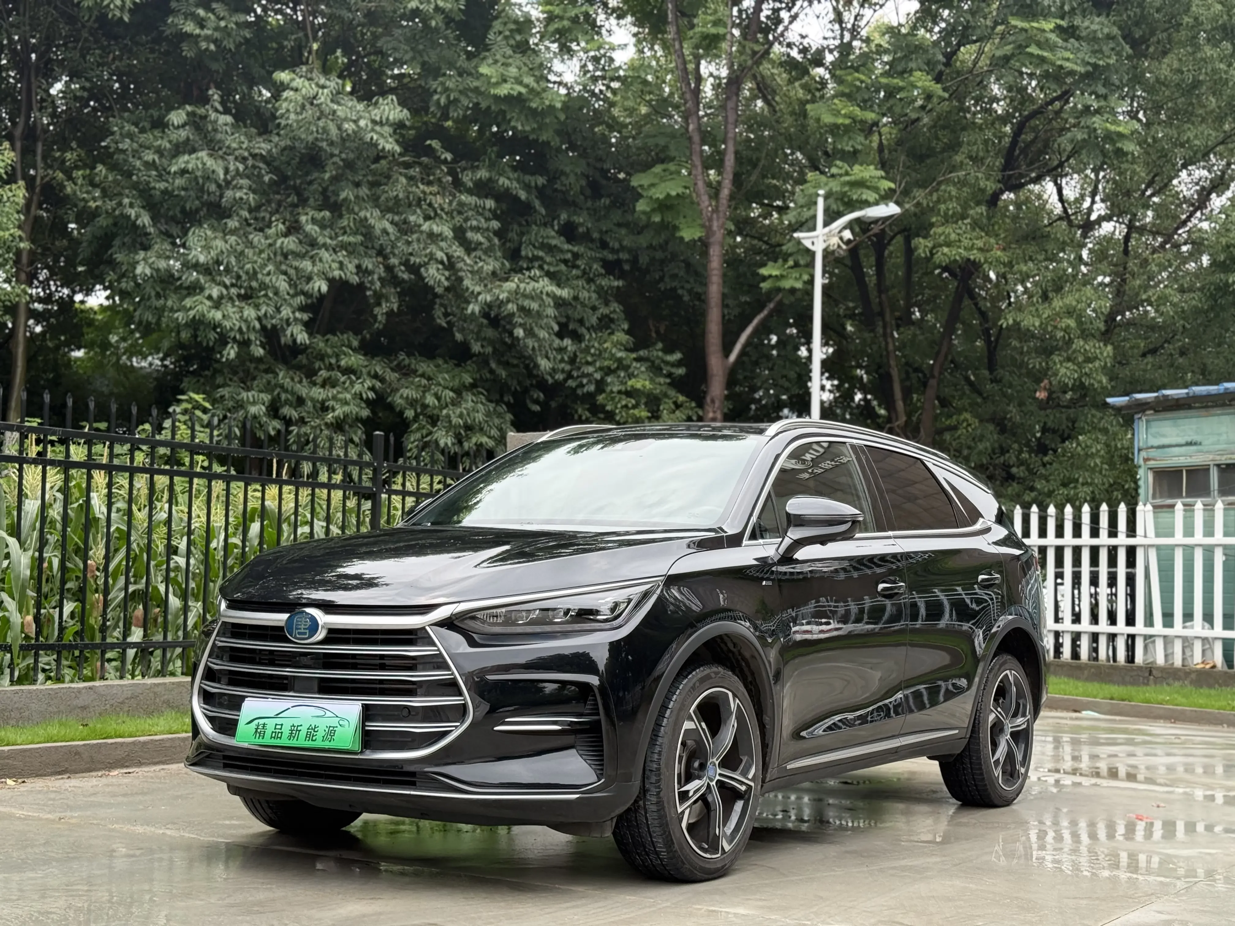 BYD Tang DM