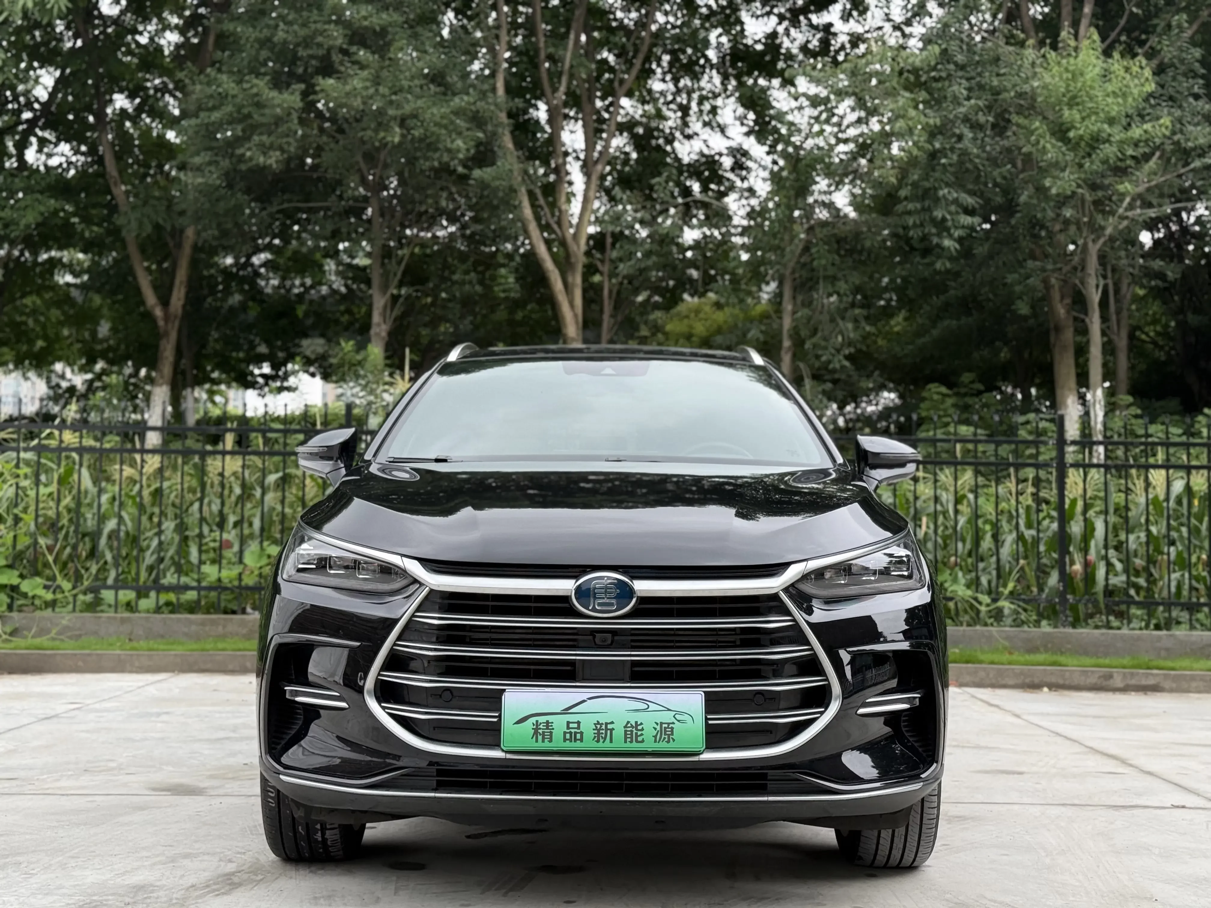 BYD Tang DM