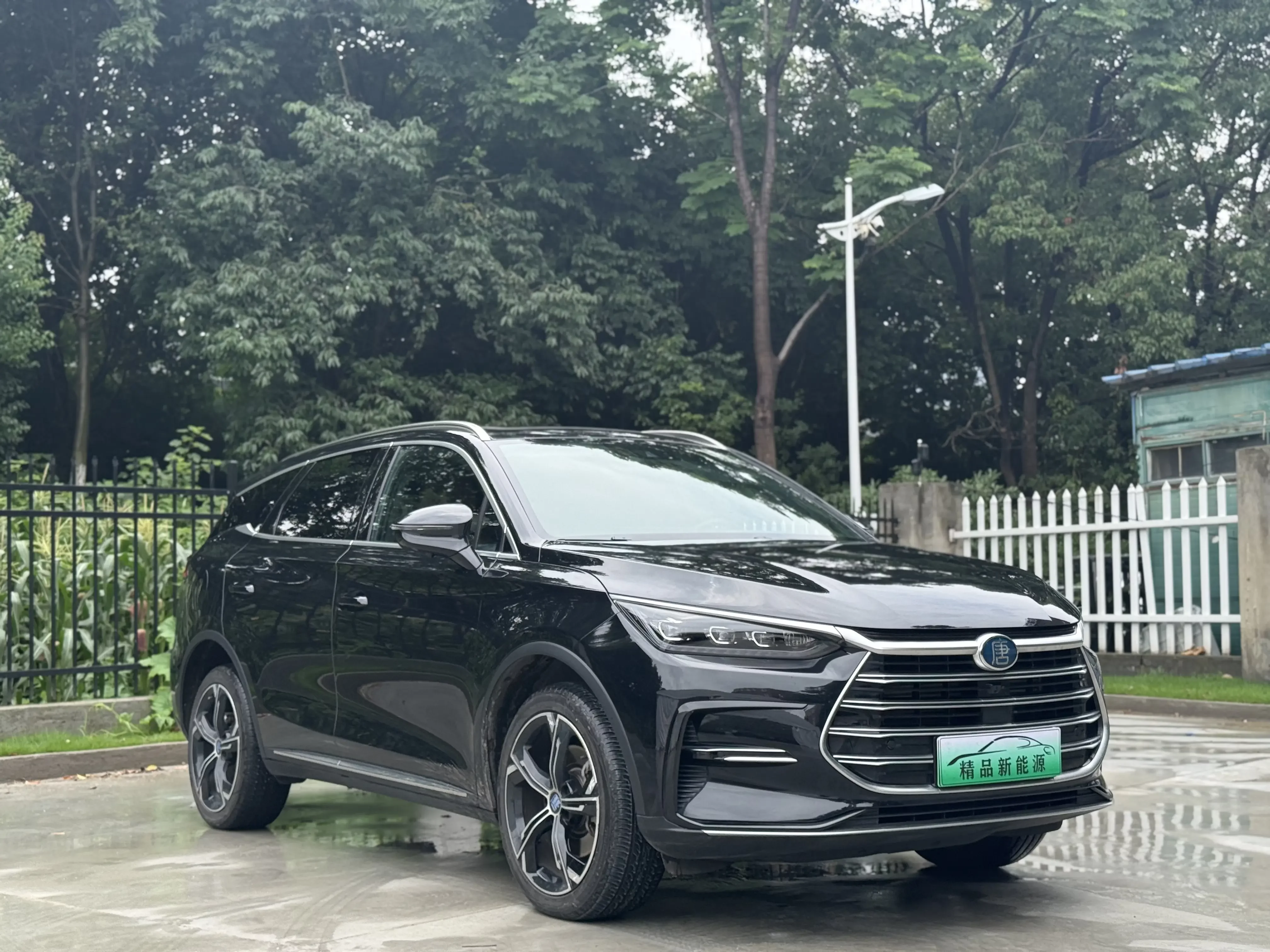BYD Tang DM