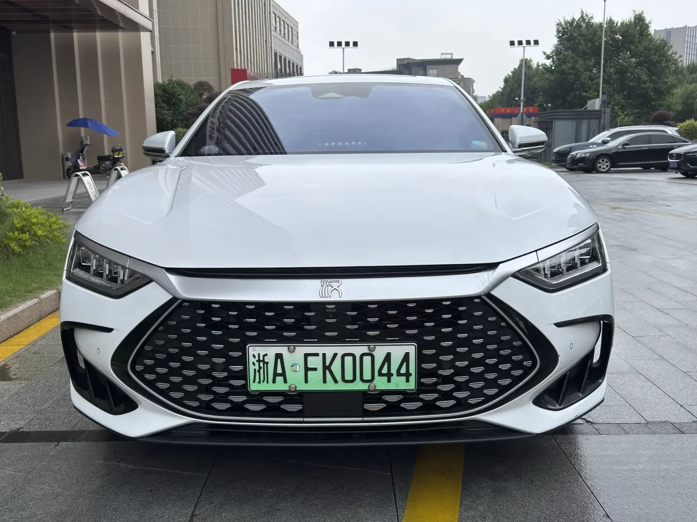 BYD HAN DM