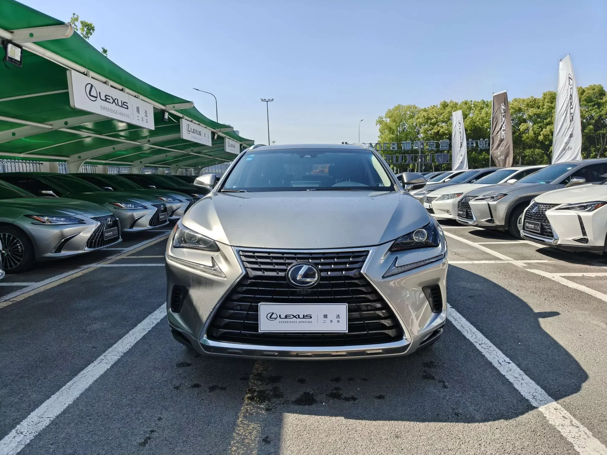 Lexus NX