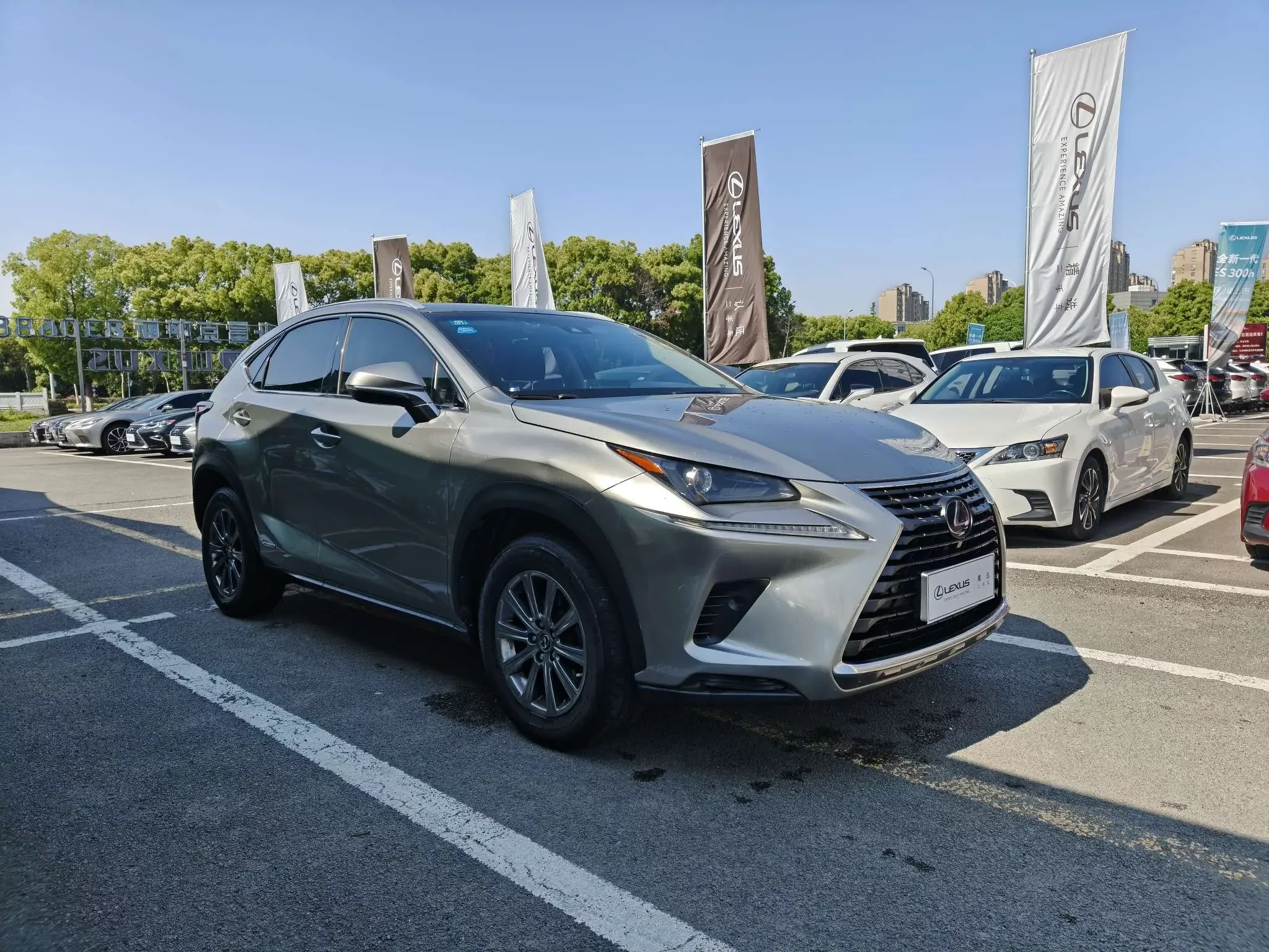 Lexus NX
