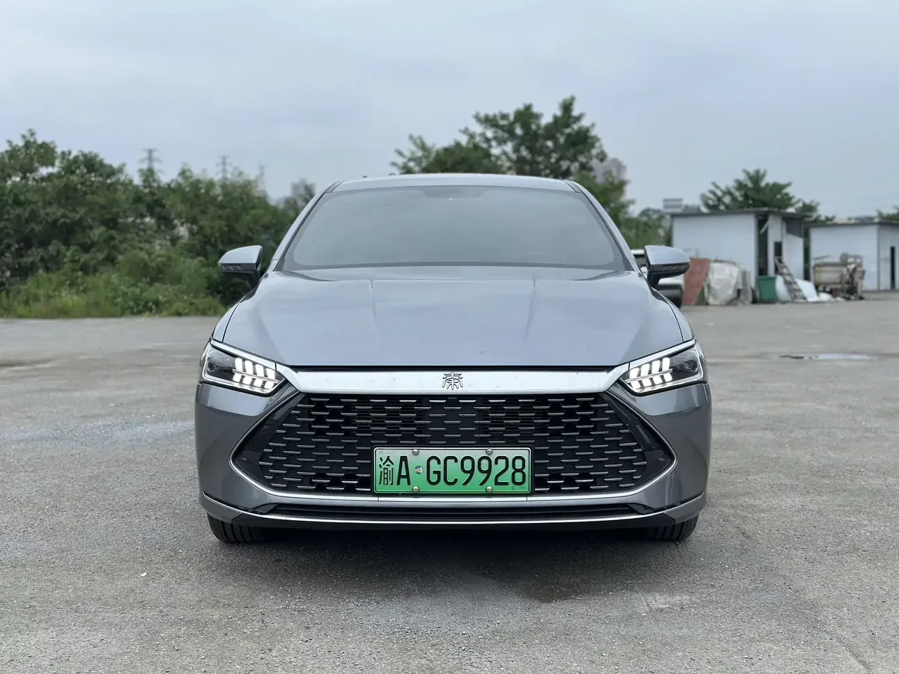 BYD Qin PLUS DM