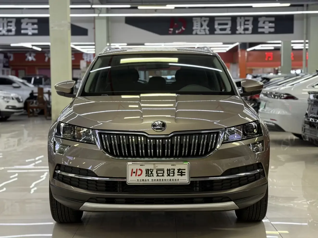 Skoda Karoq  из Китая